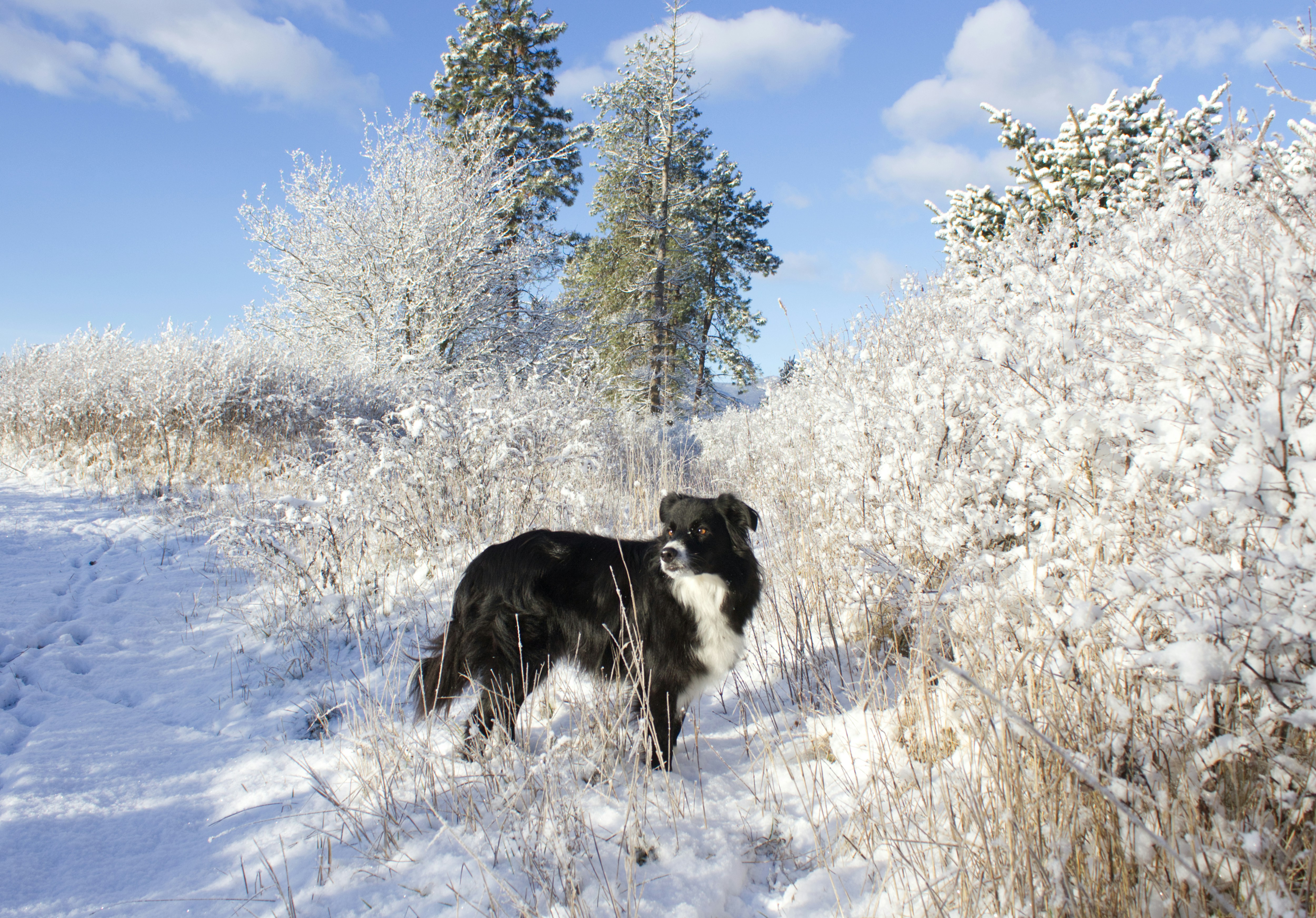 Photo by frozenmoments