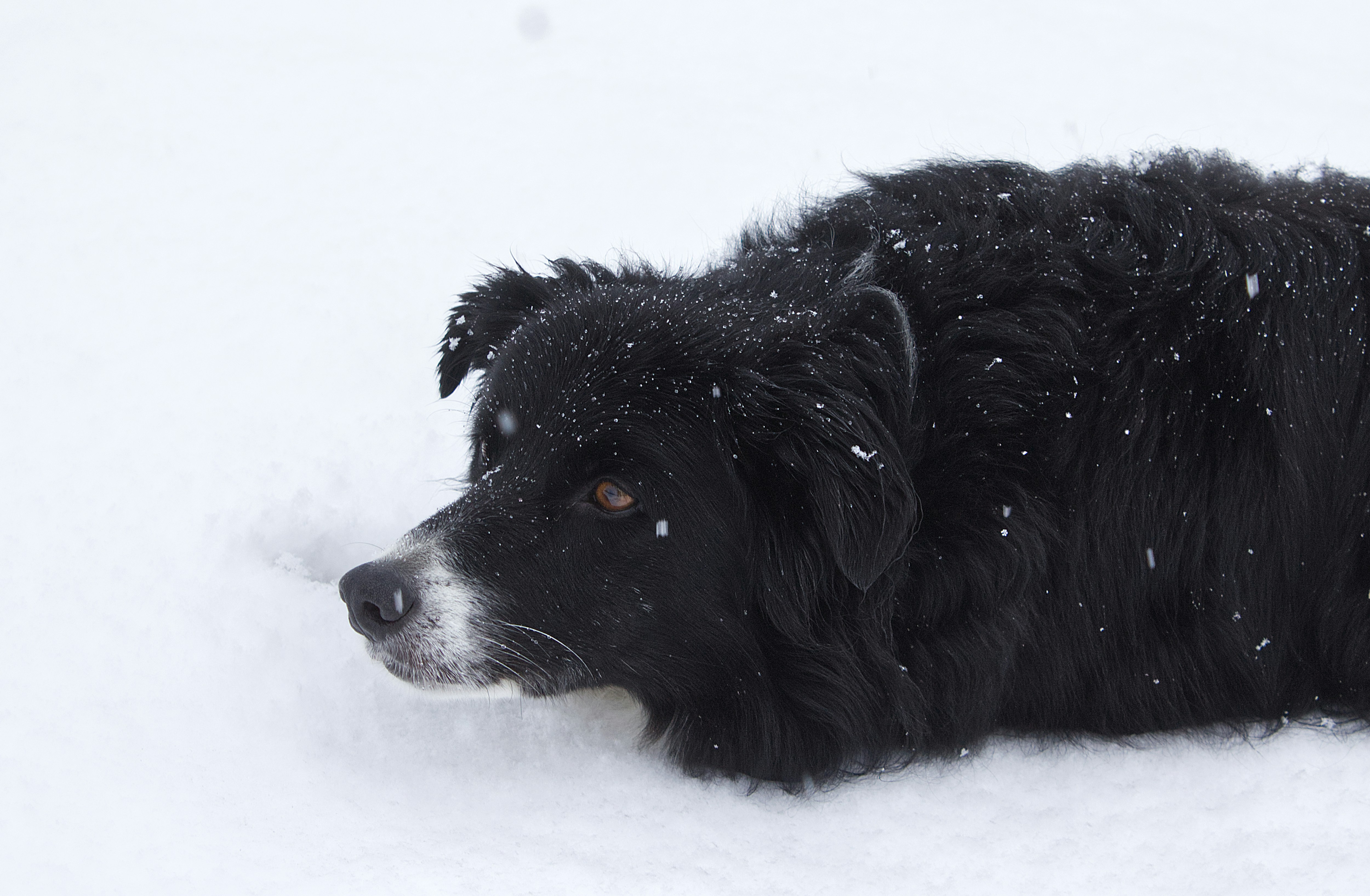 Photo by frozenmoments