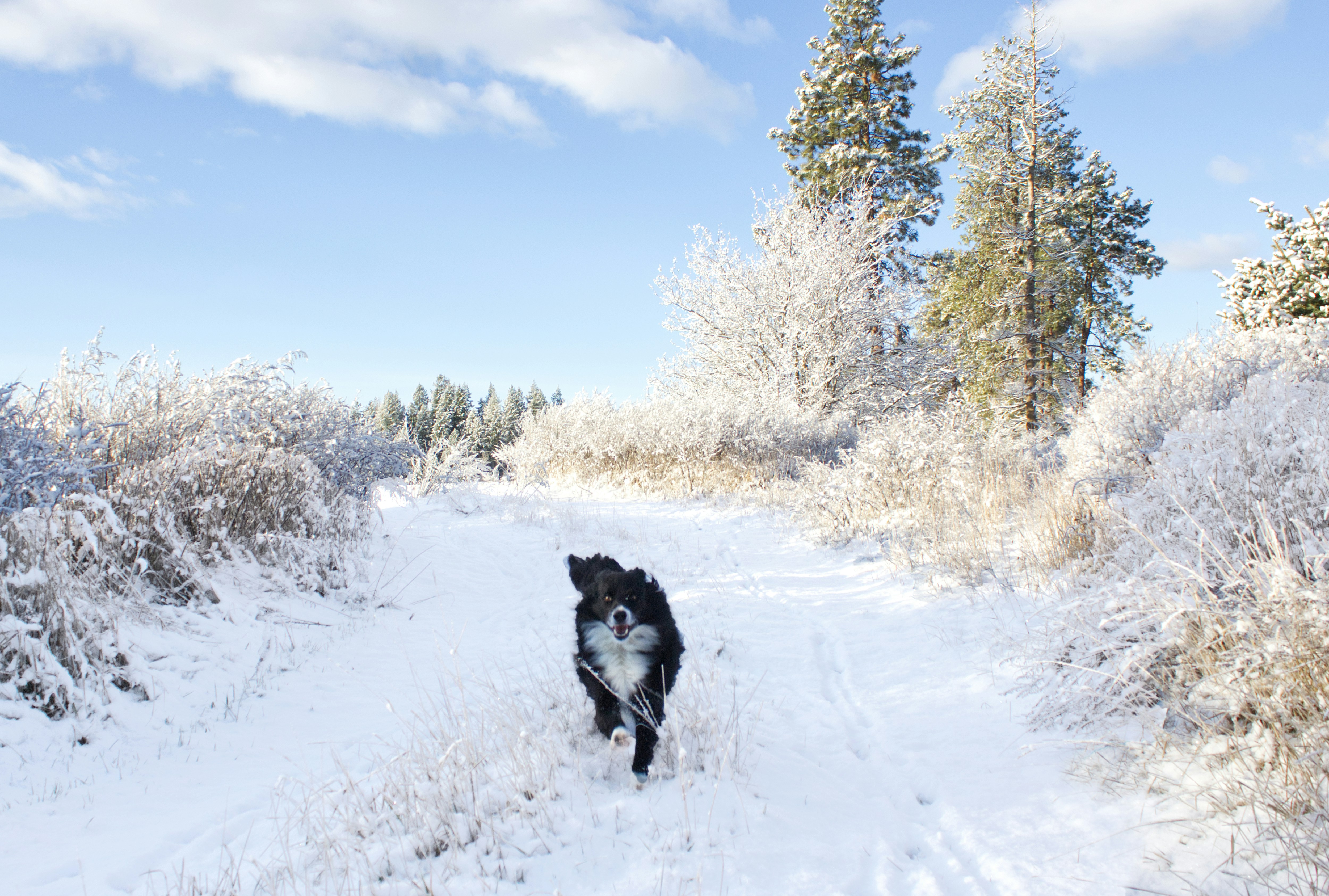 Photo by frozenmoments