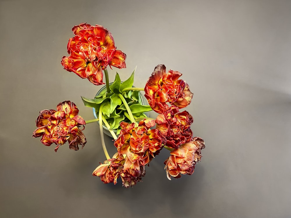 a bunch of flowers that are on a table