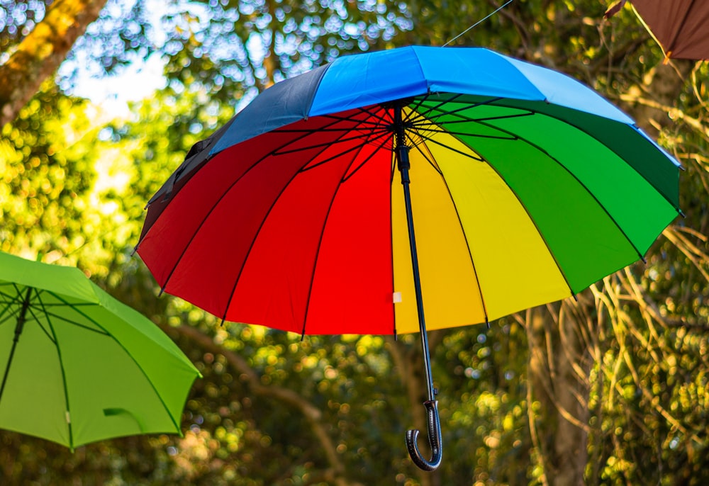 two colorful umbrellas hanging from a tree