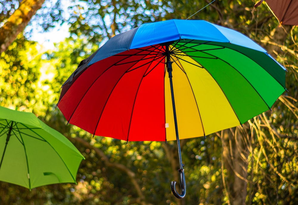 Dos paraguas de colores colgando de un árbol