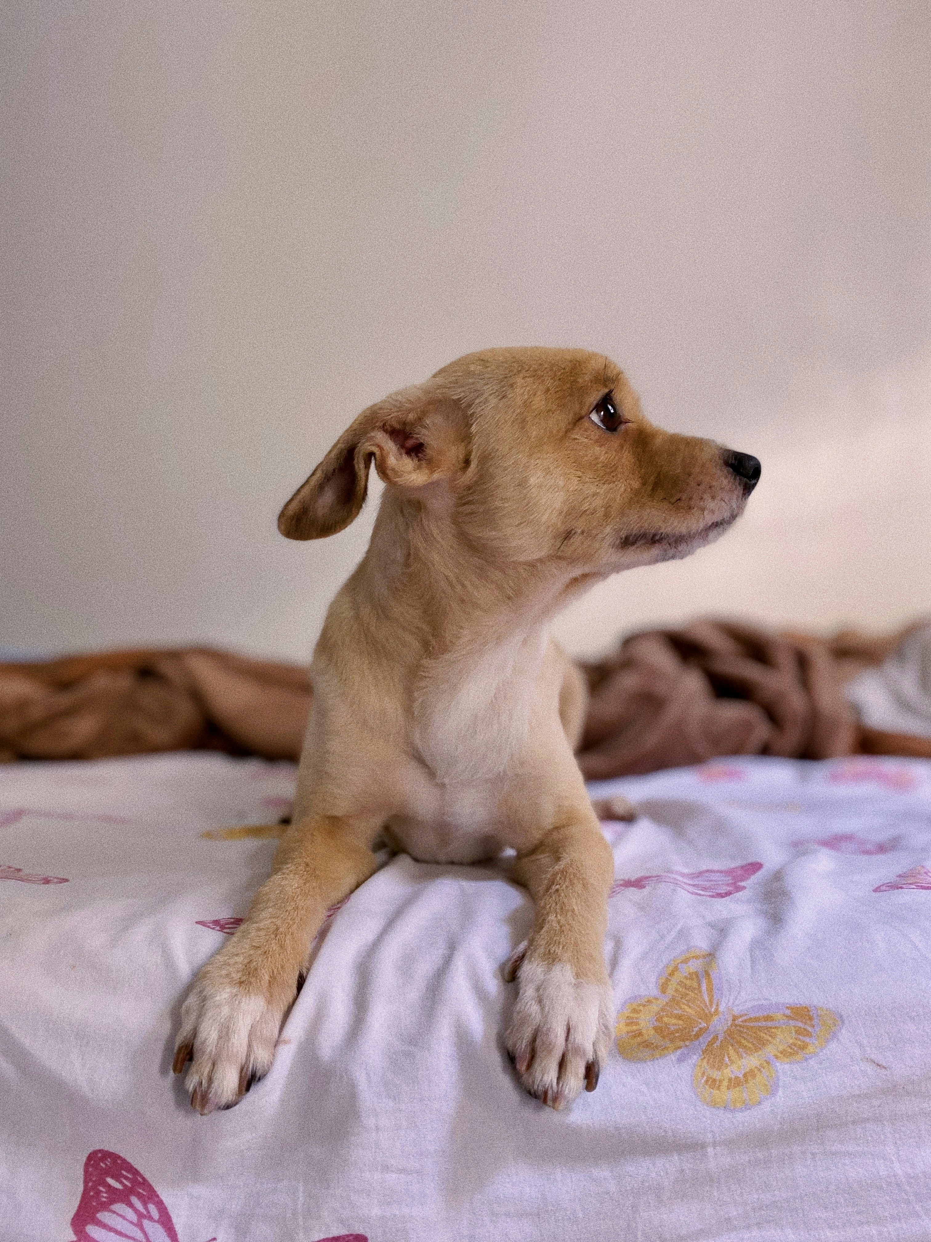 Photo by felipe_noguera