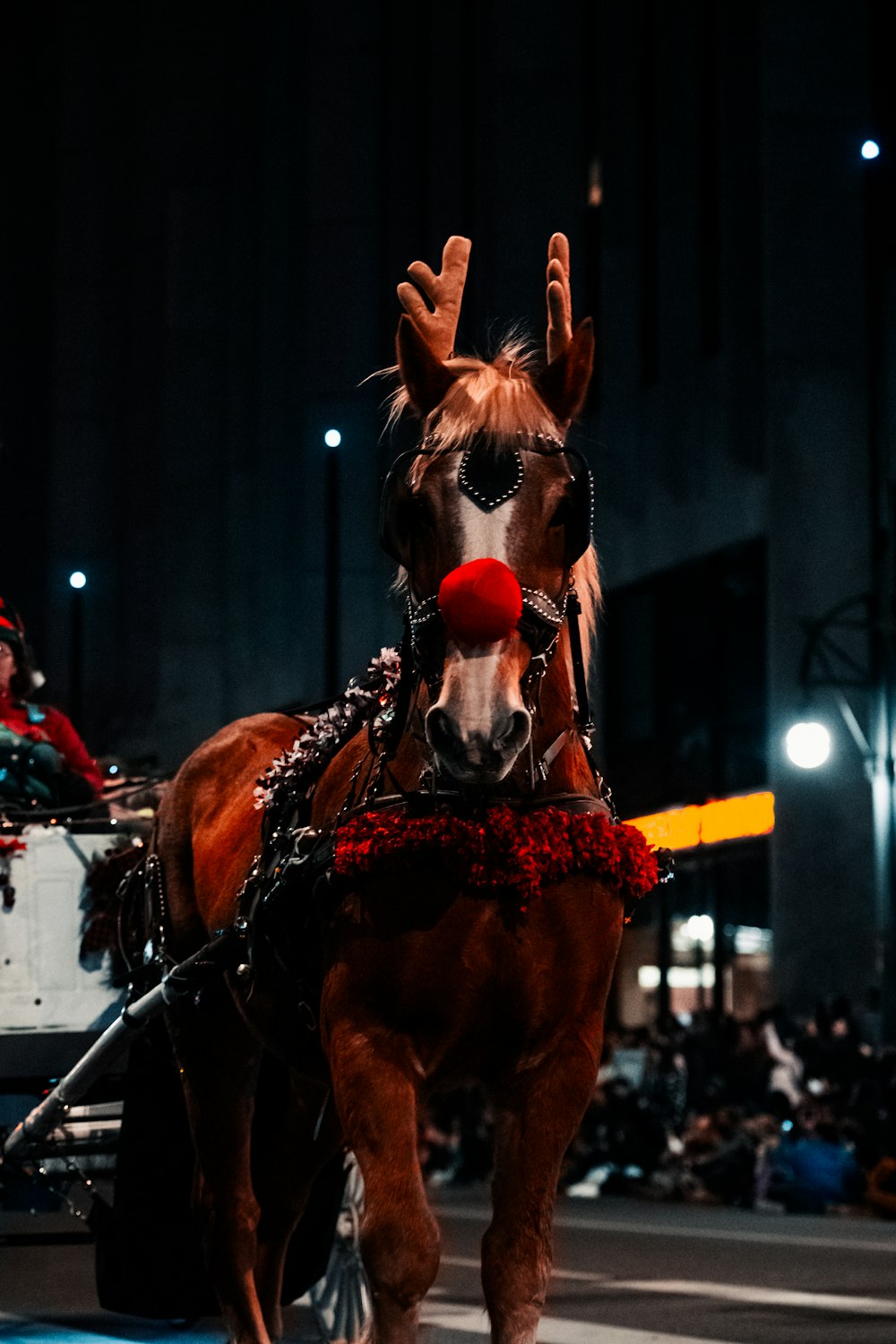 a horse pulling a carriage down a street