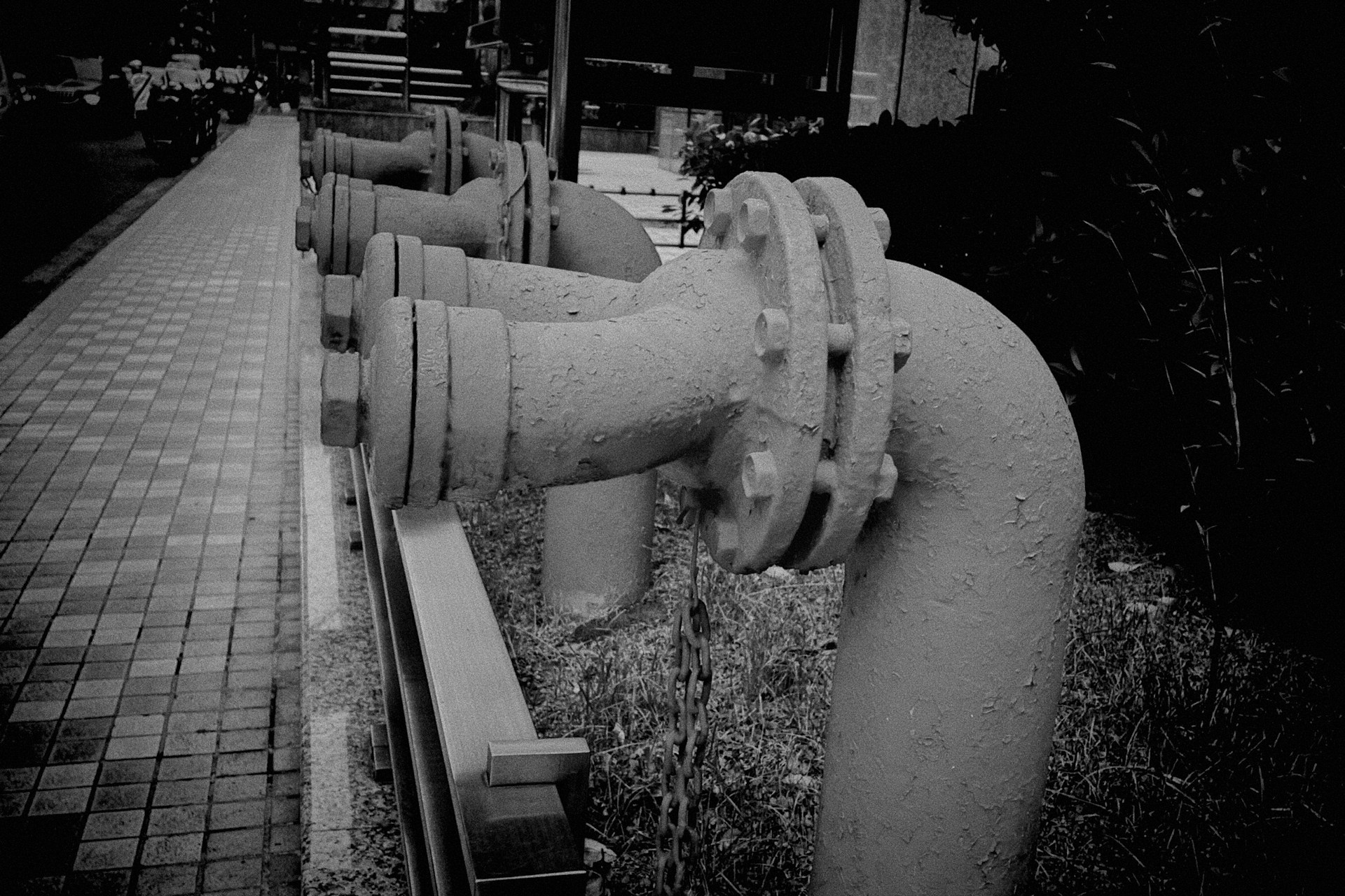 a black and white photo of a fire hydrant