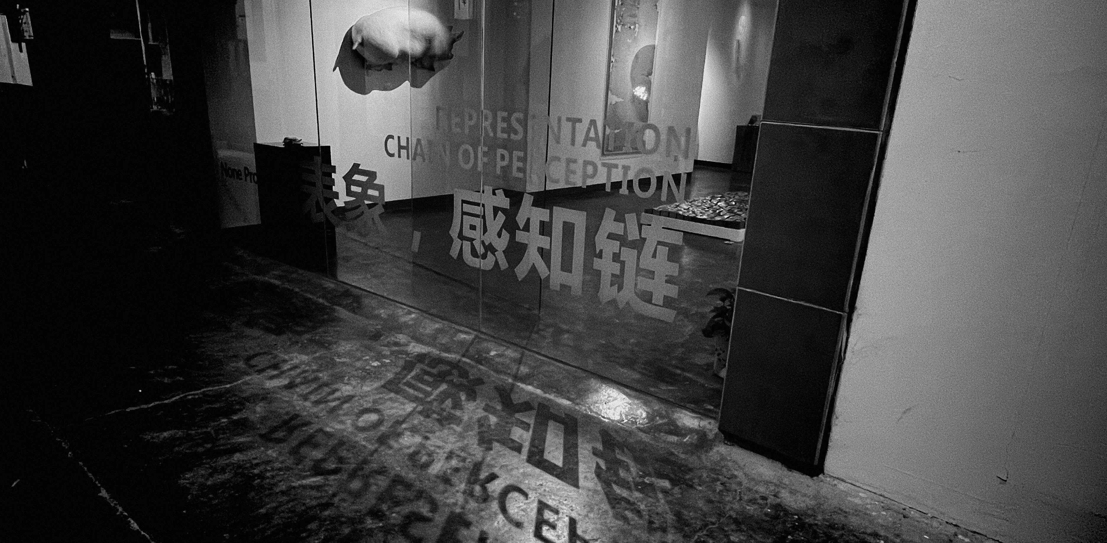 Photo by geraltyichen