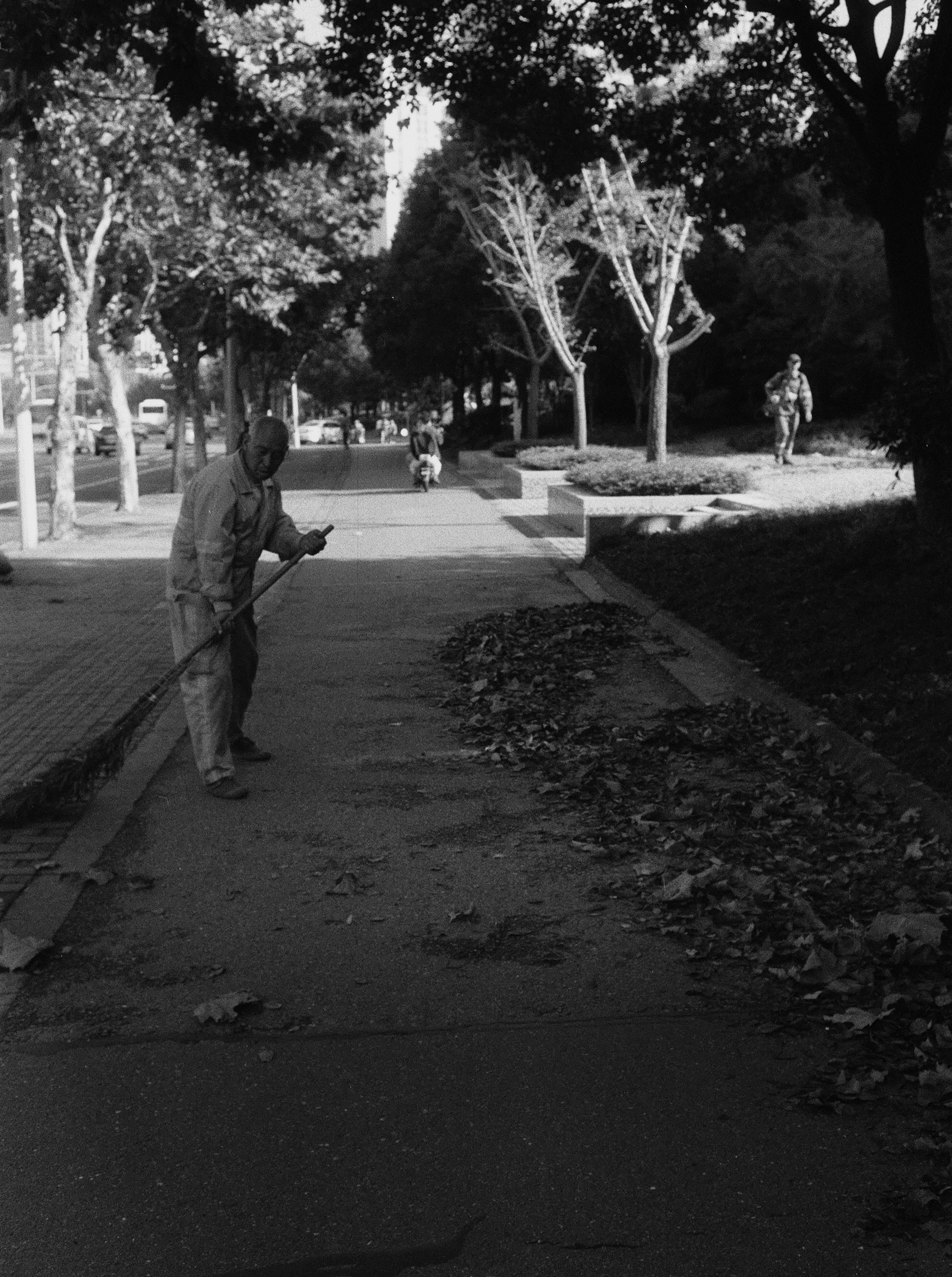 Photo by geraltyichen