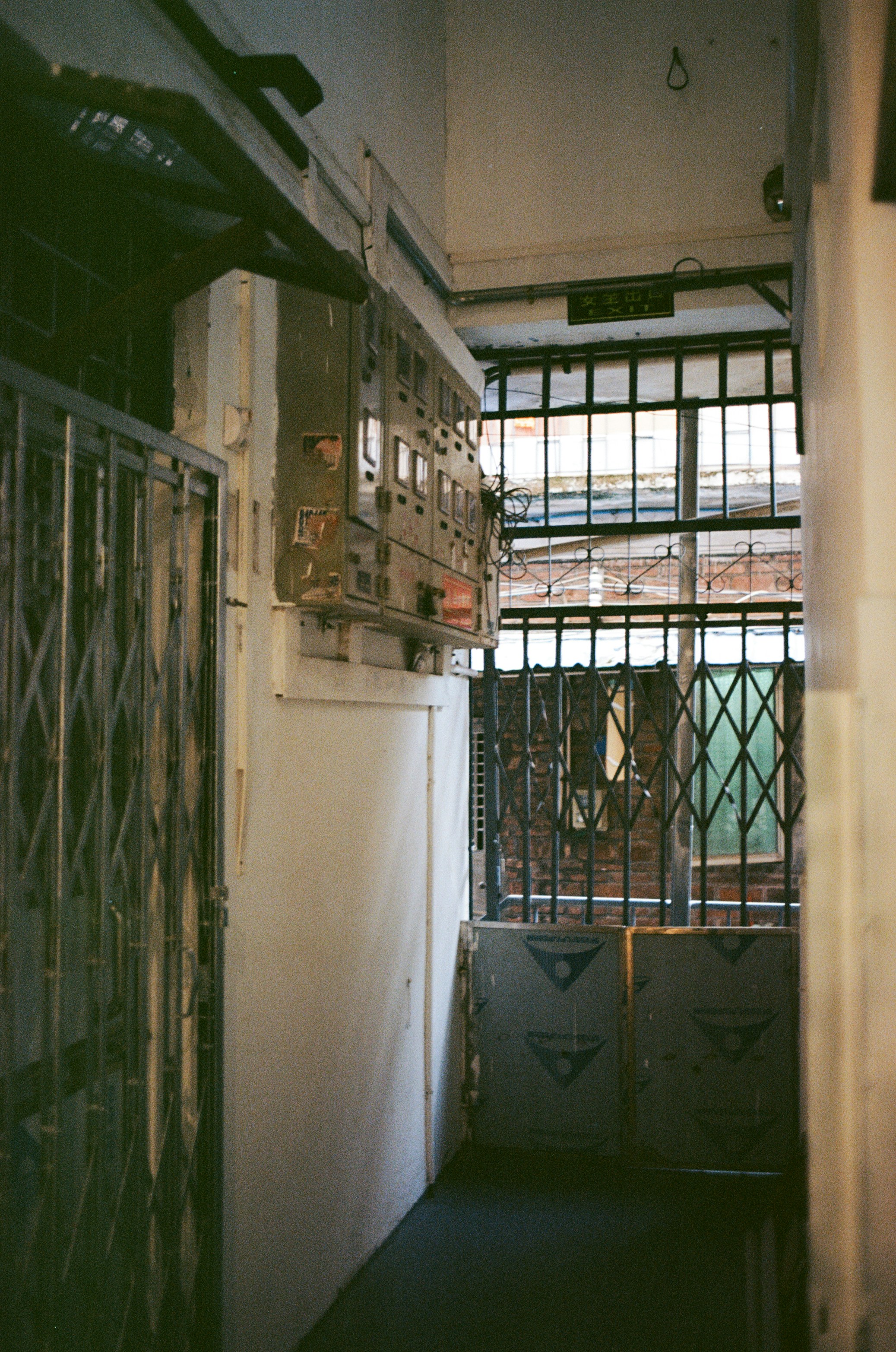 Photo by angrybluebird