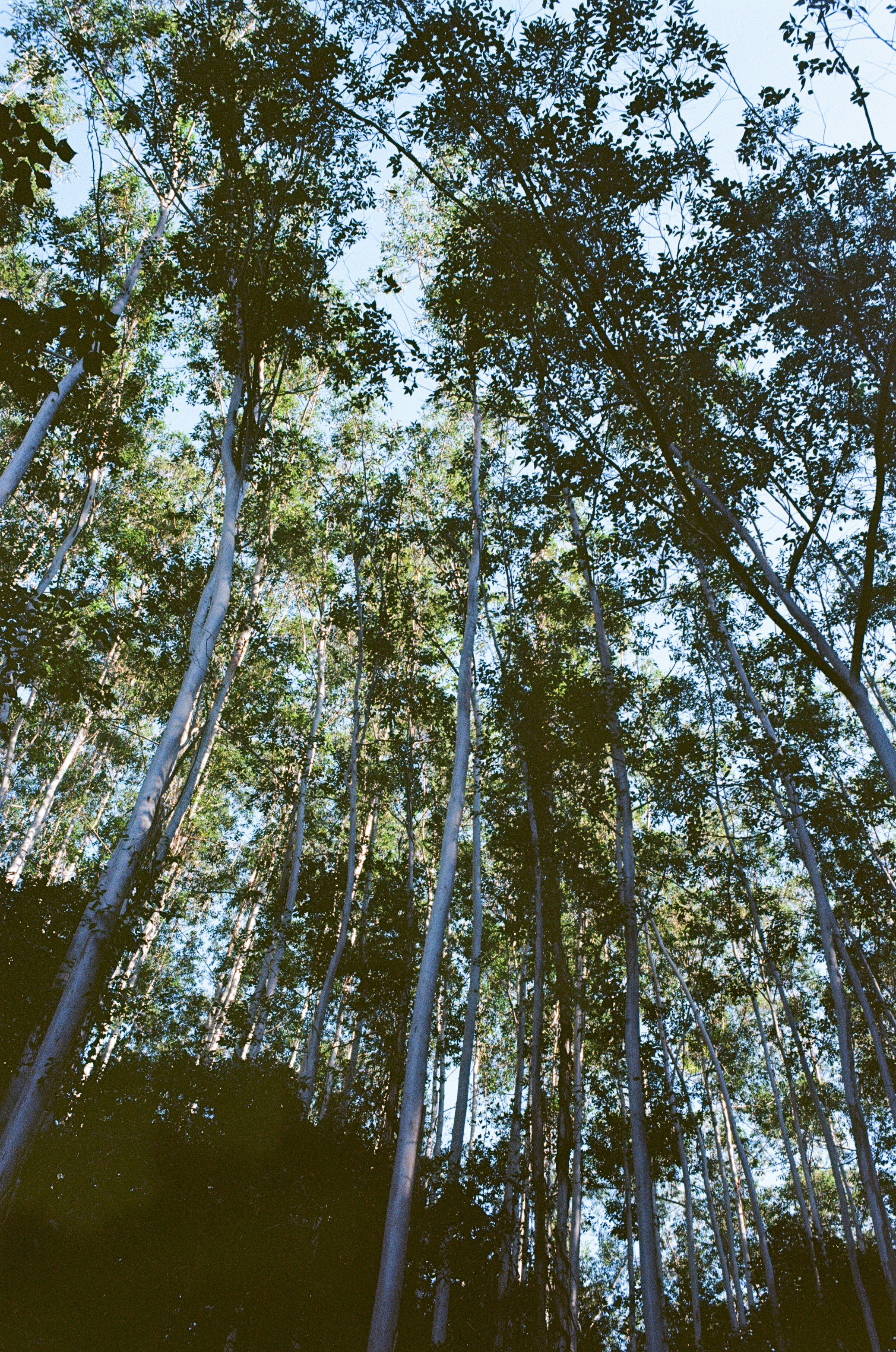 Photo by angrybluebird