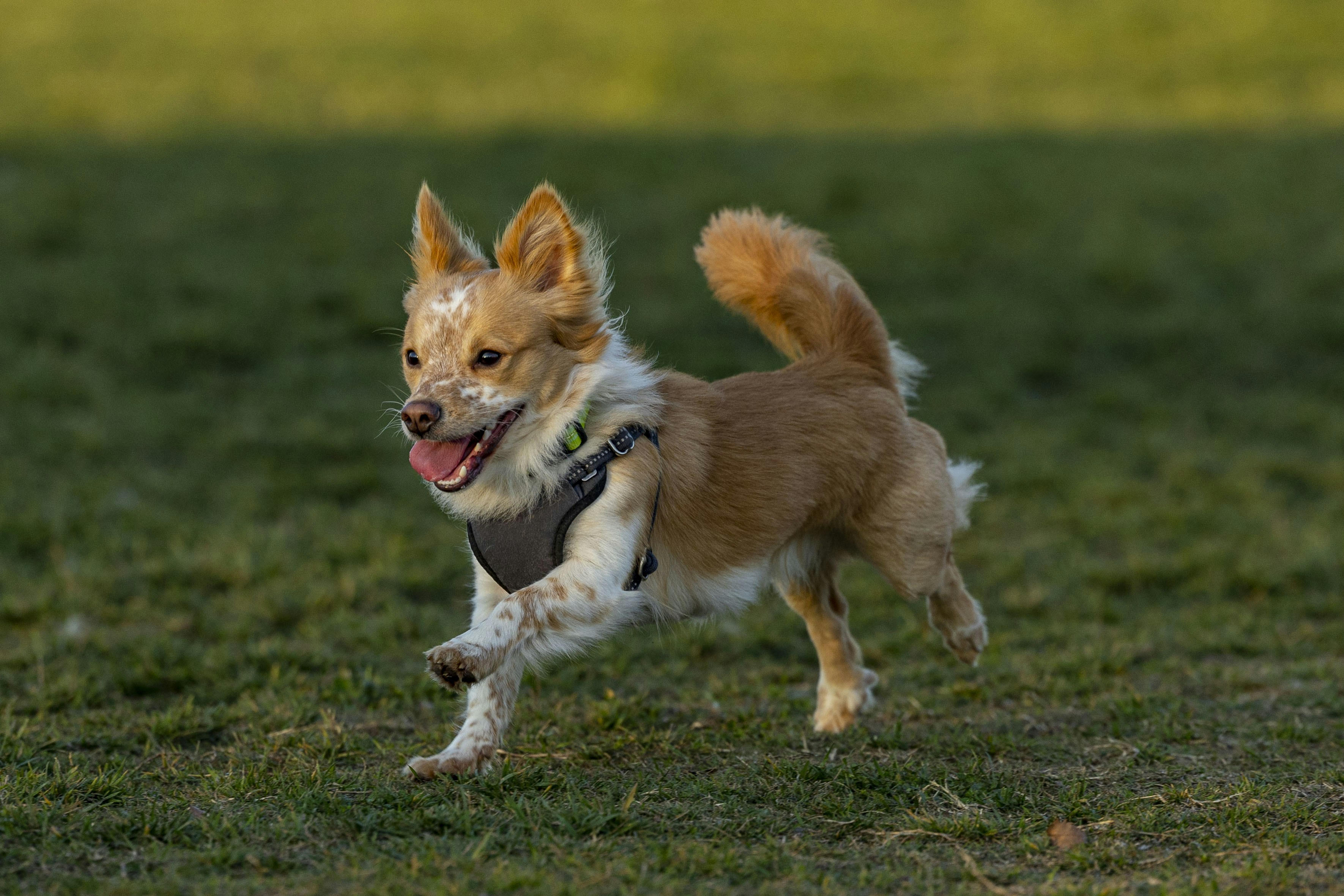 Photo by leo_visions_