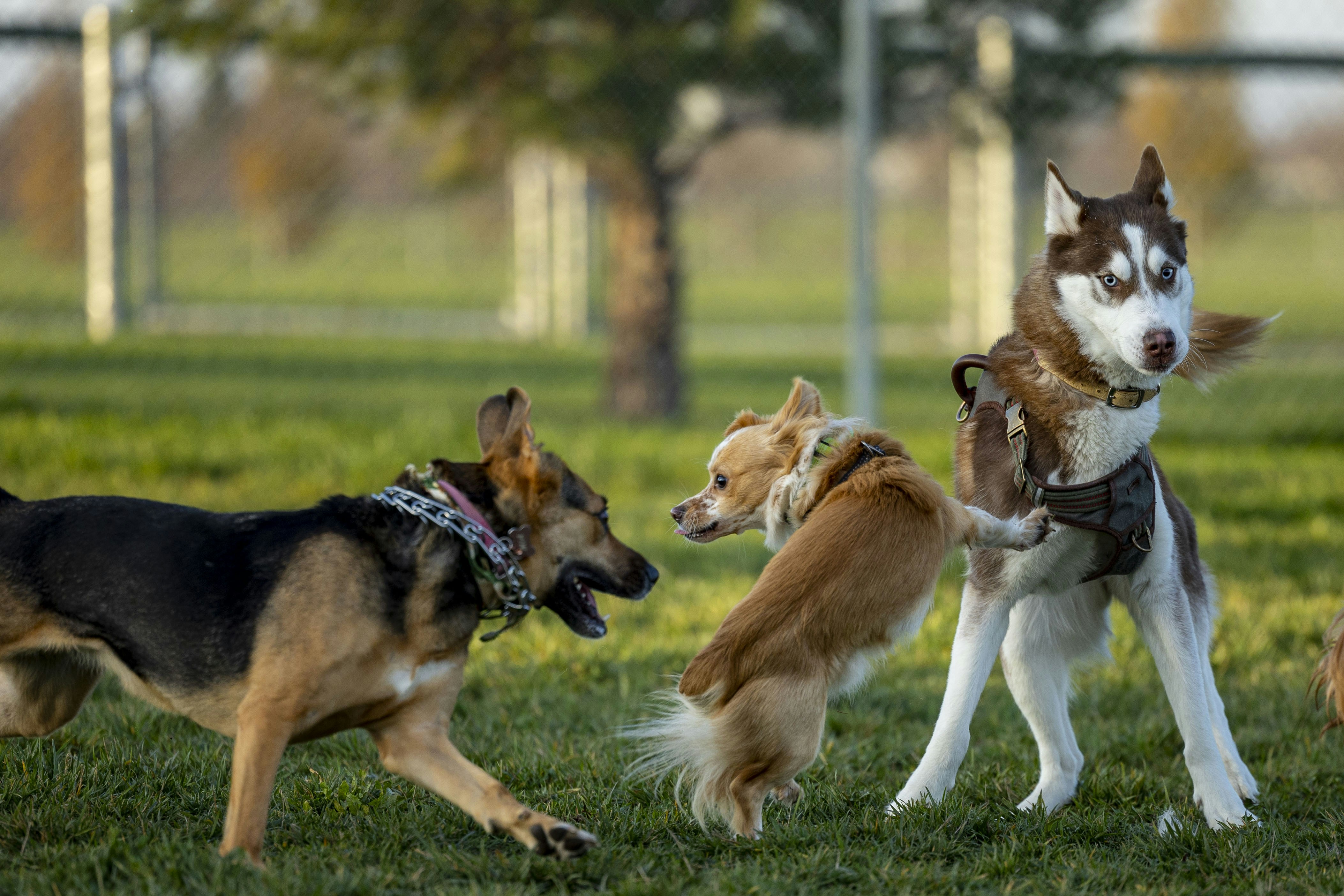 Photo by leo_visions_