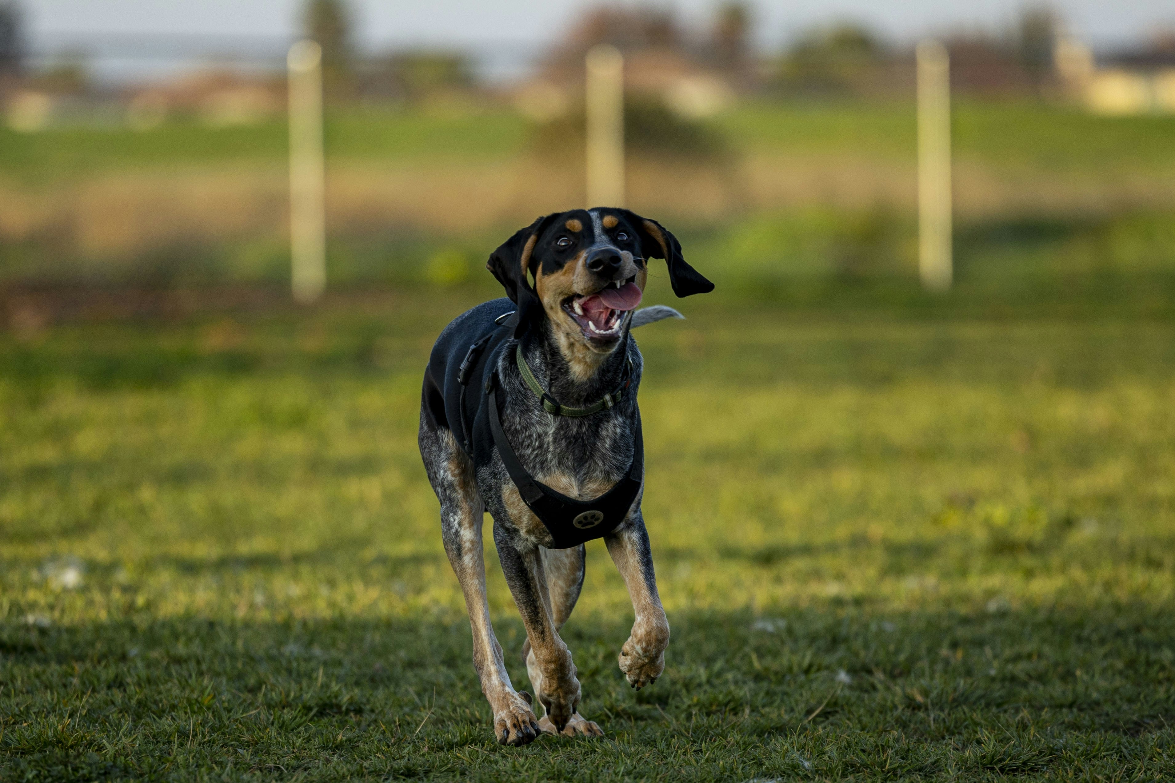 Photo by leo_visions_