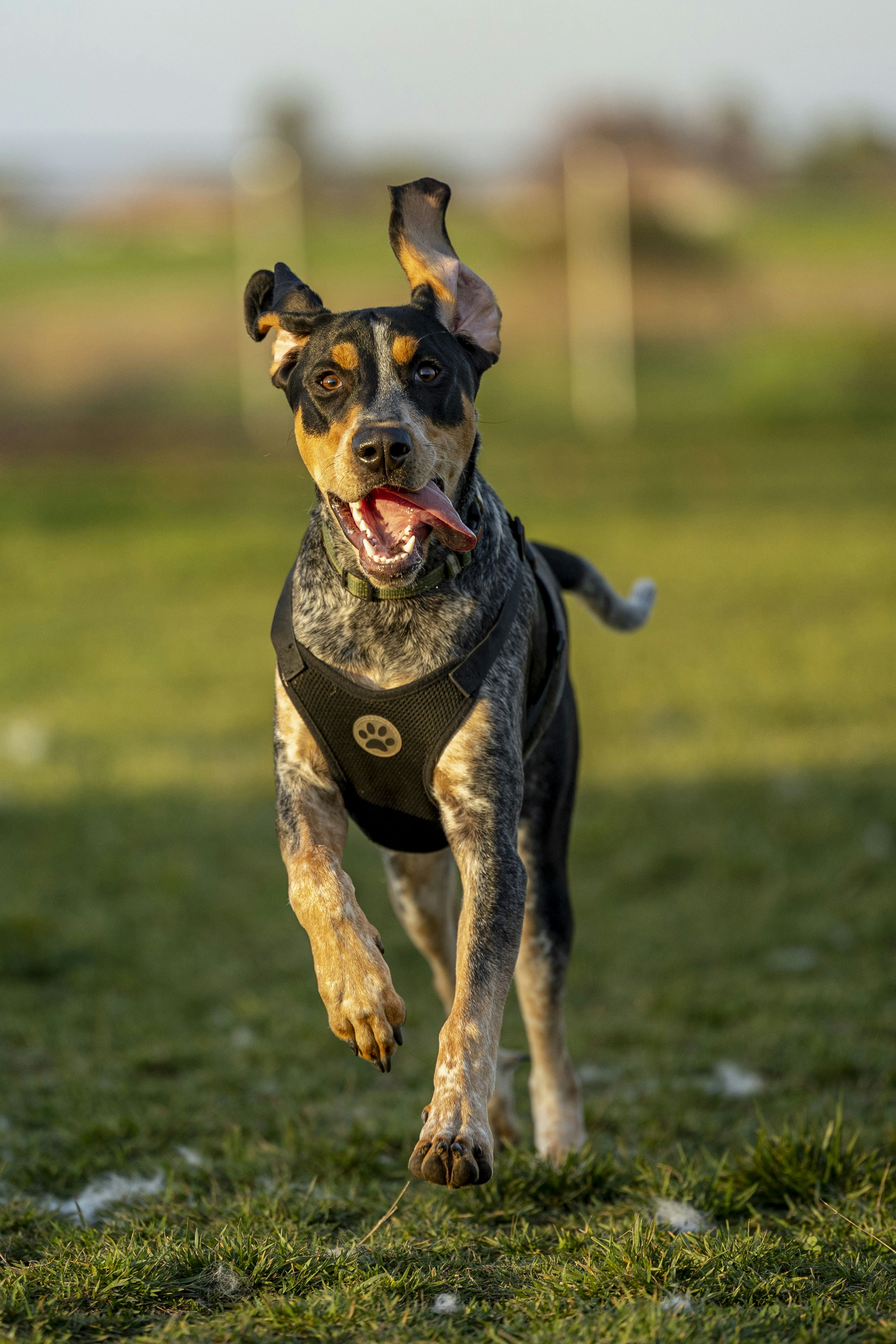 Photo by leo_visions_