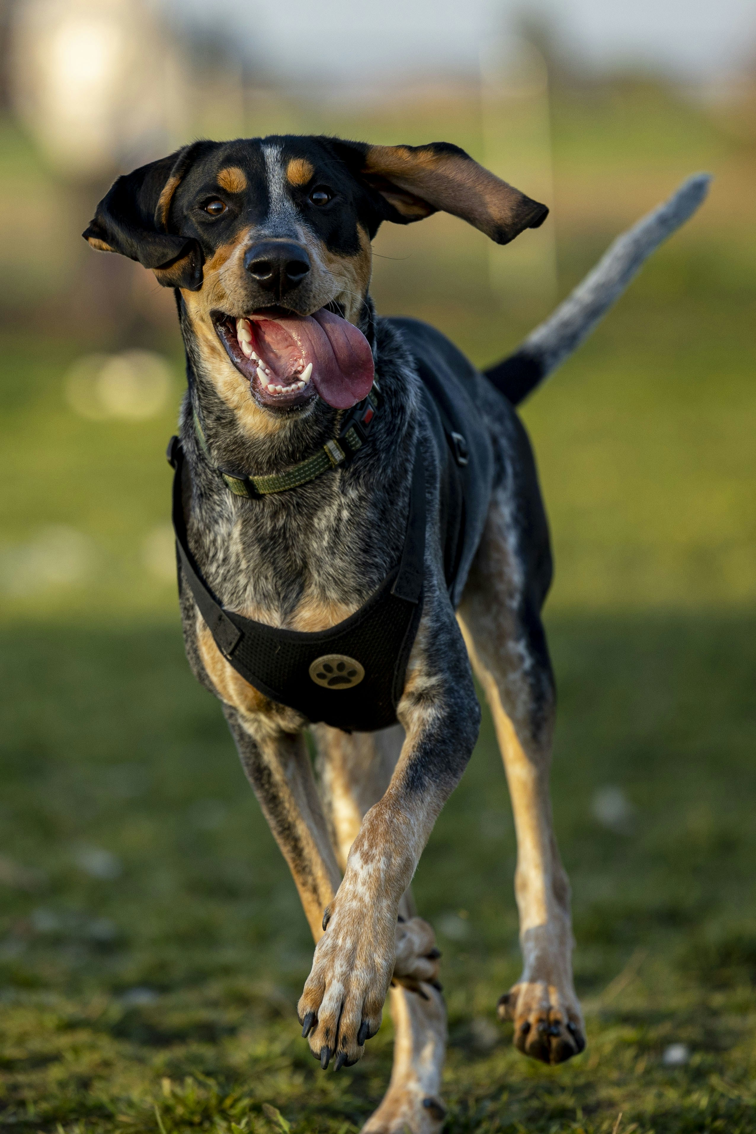 Photo by leo_visions_