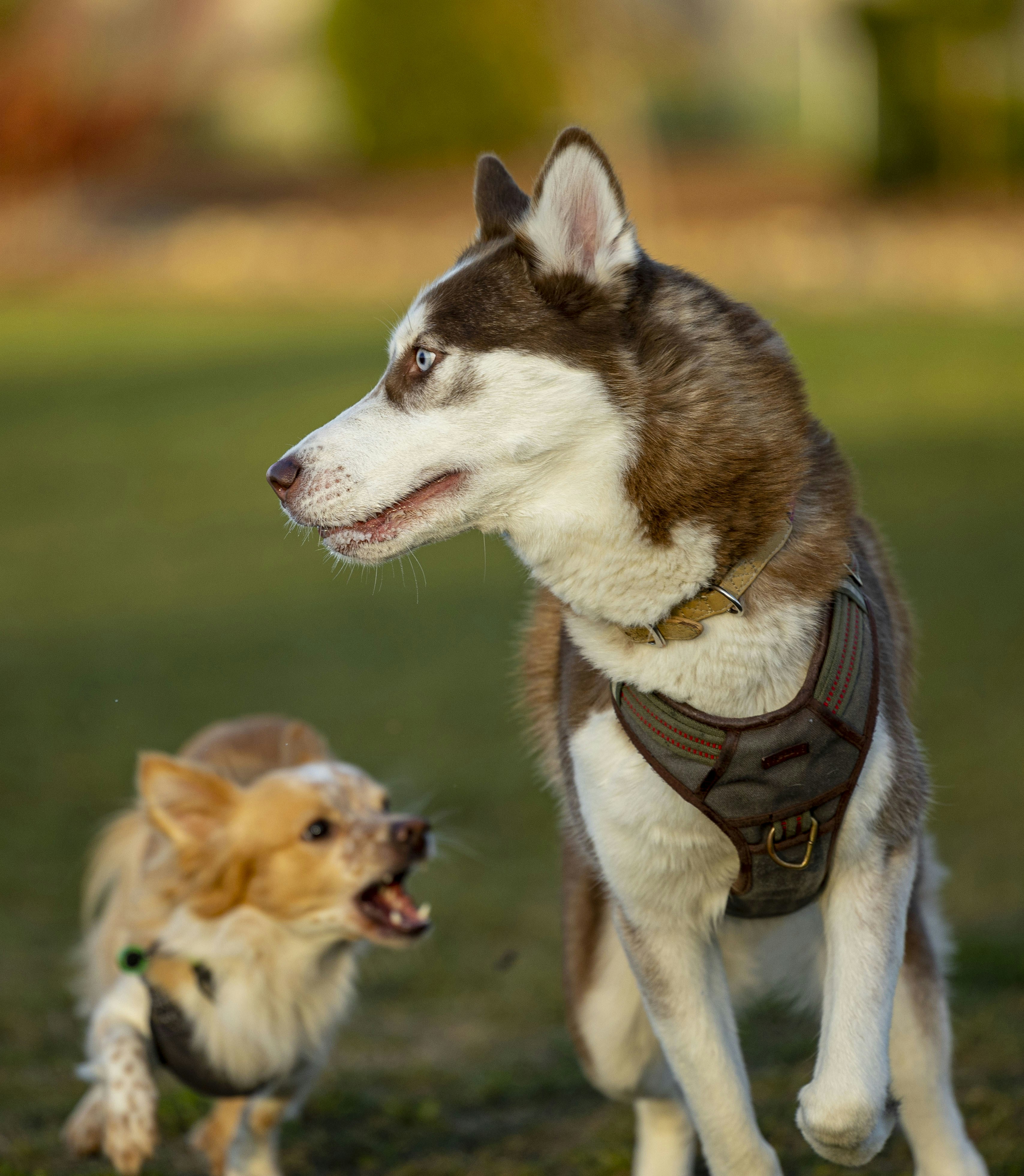 Photo by leo_visions_