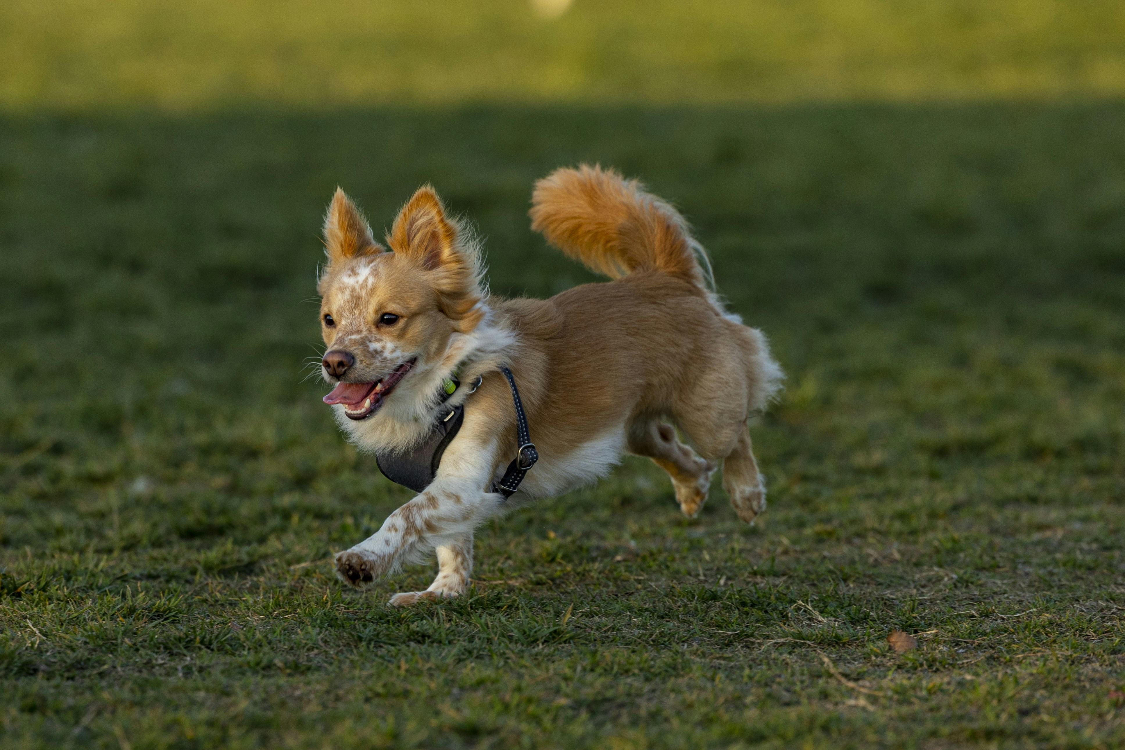 Photo by leo_visions_