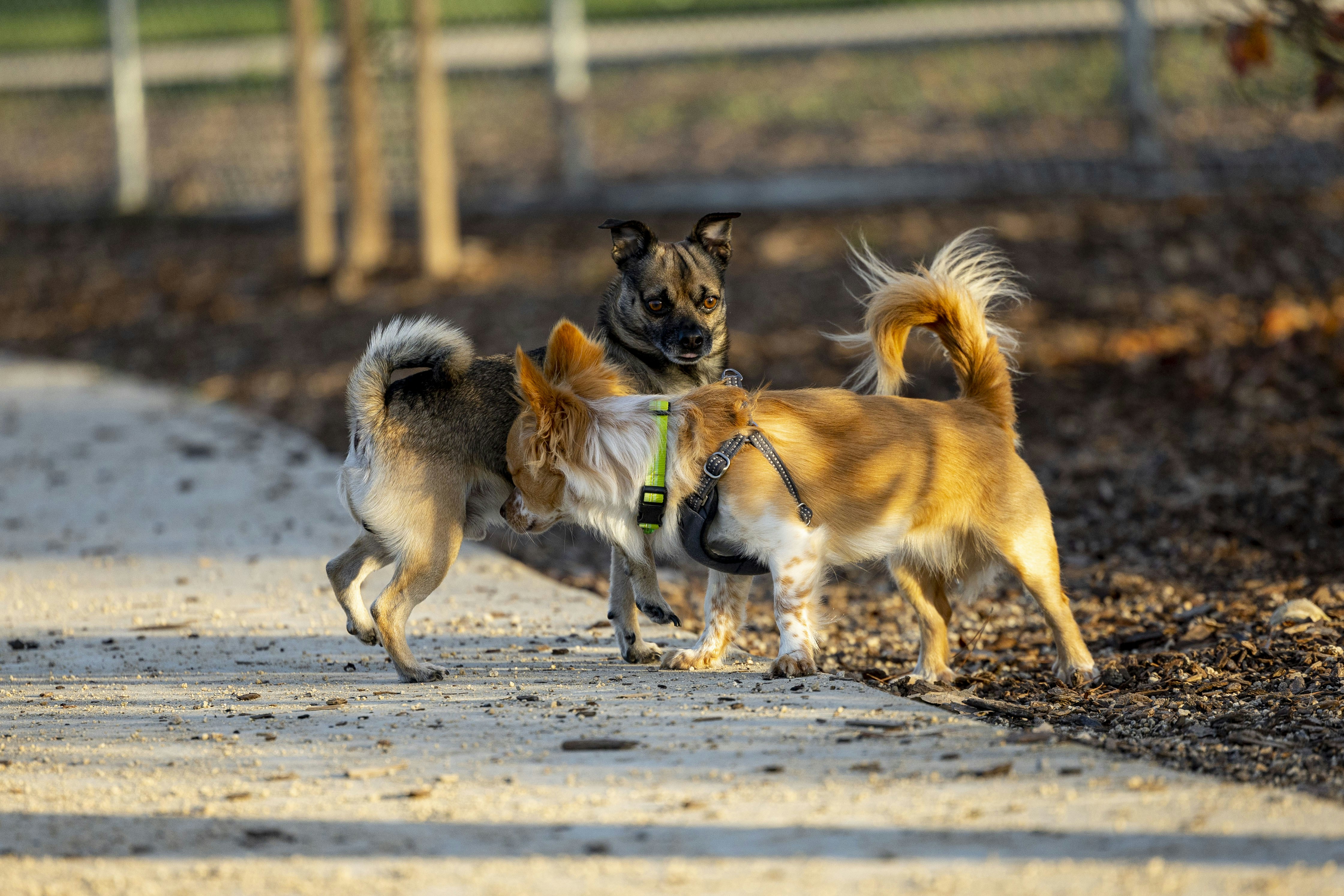 Photo by leo_visions_