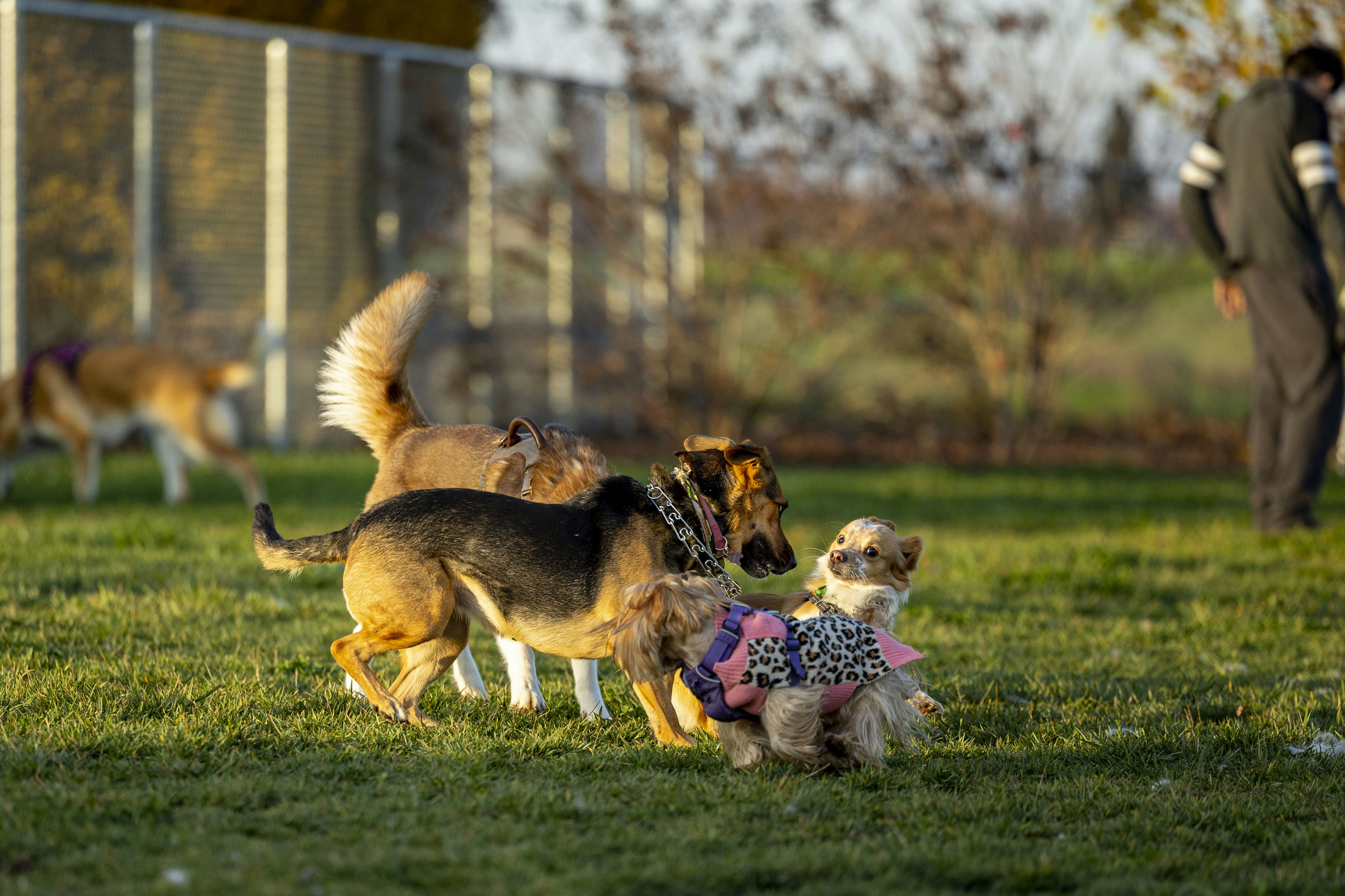 Photo by leo_visions_