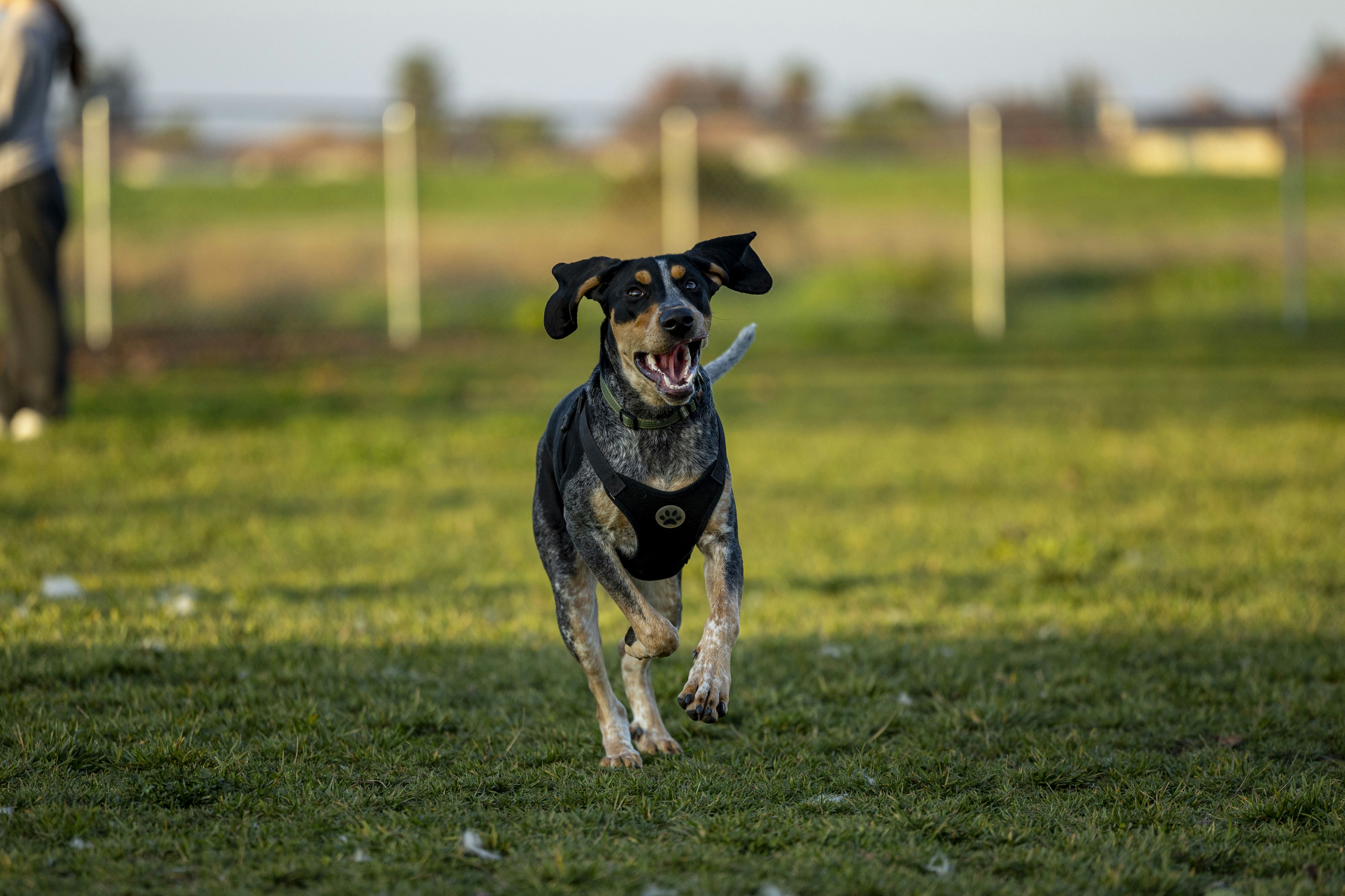 Photo by leo_visions_