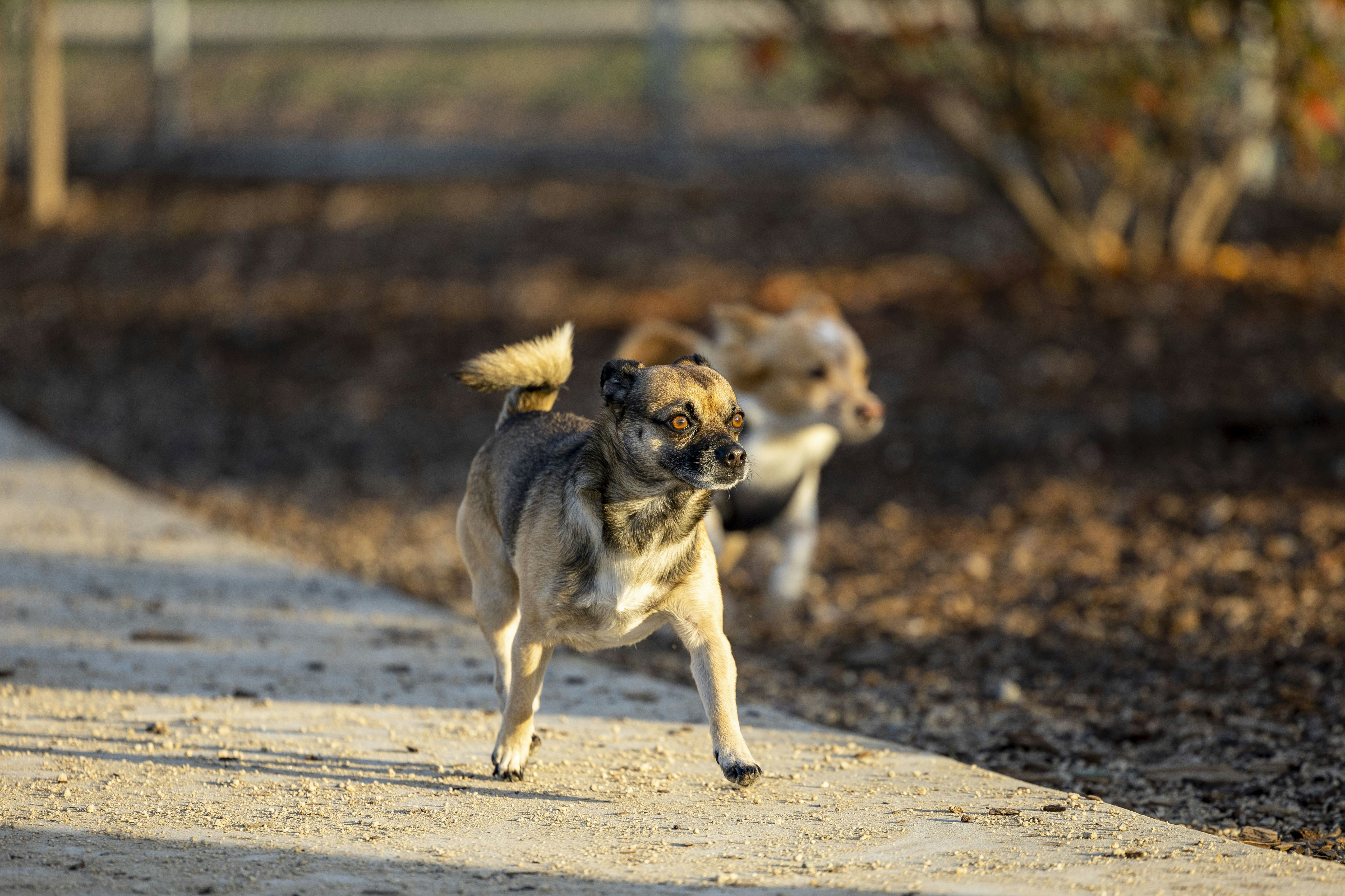 Photo by leo_visions_