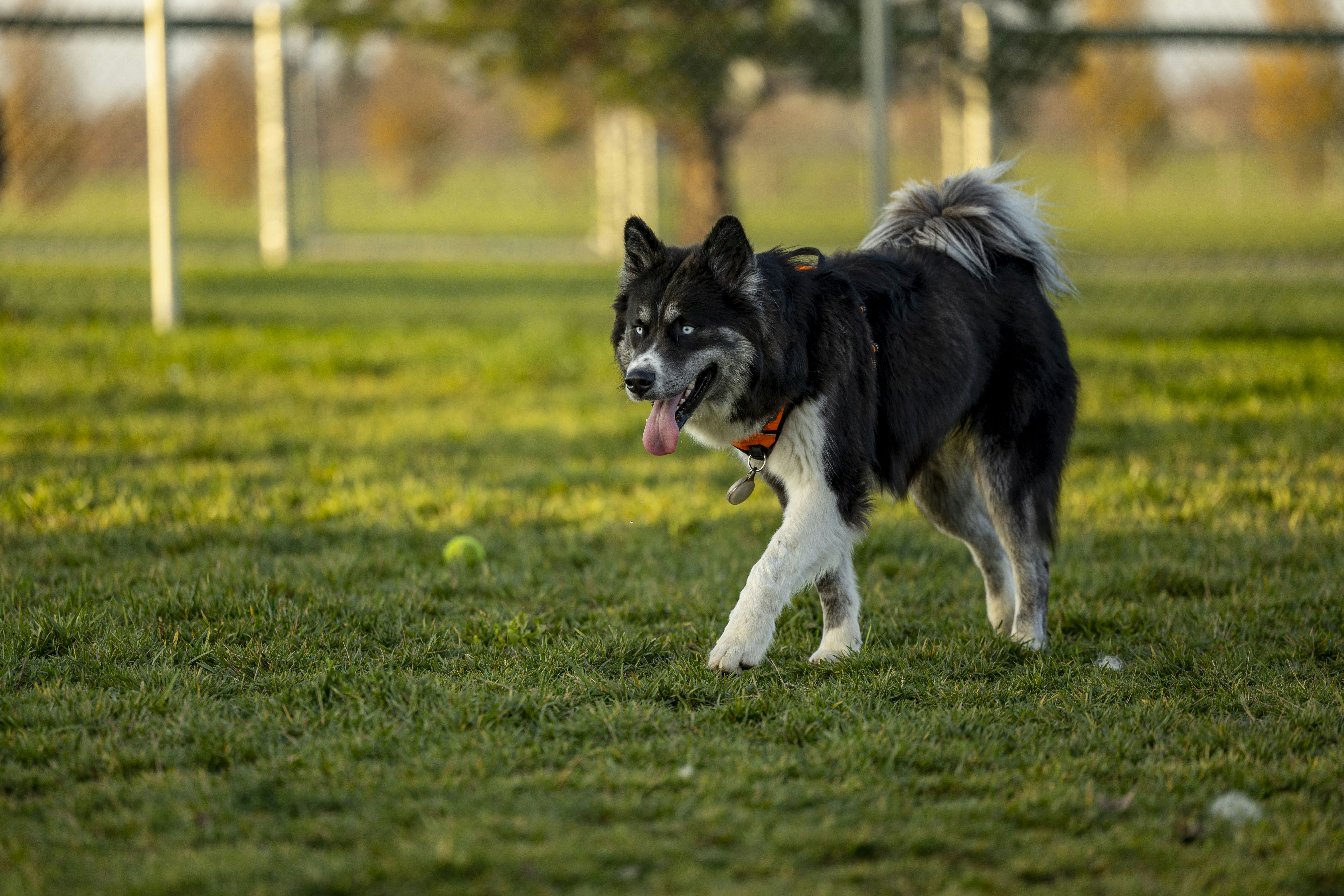 Photo by leo_visions_