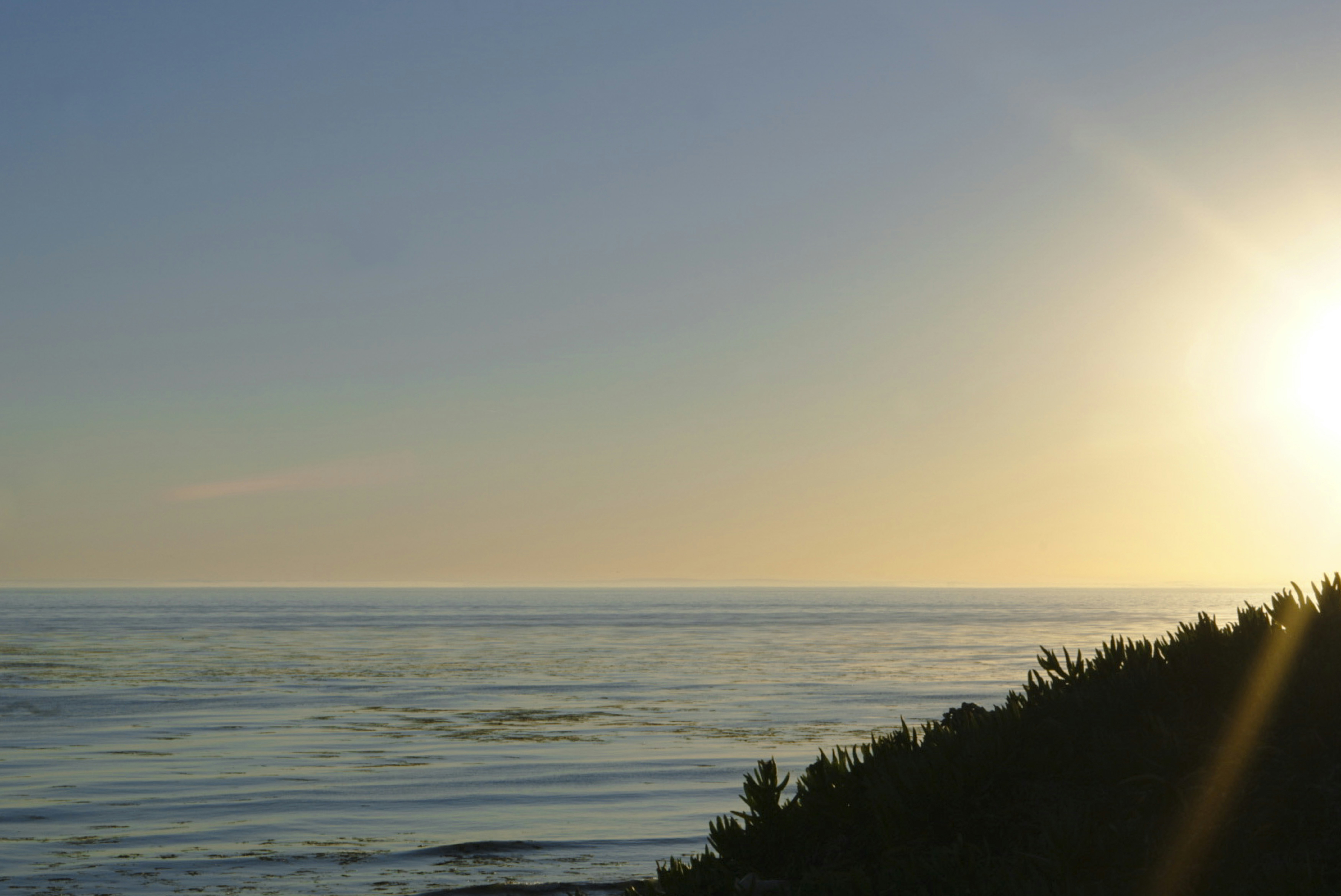 Photo by biancasaybe