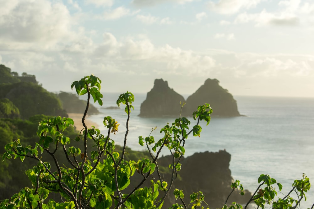 a view of a body of water from a hill