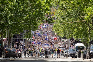 A large crowd of people is gathered in the middle of a street lined with green trees, participating in a protest or demonstration. Numerous signs and banners with different messages are held up. Some flags are visible among the crowd. Cars are parked alongside the street, and the scene suggests a lively and energetic atmosphere.