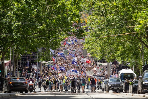 A large crowd of people is gathered in the middle of a street lined with green trees, participating in a protest or demonstration. Numerous signs and banners with different messages are held up. Some flags are visible among the crowd. Cars are parked alongside the street, and the scene suggests a lively and energetic atmosphere.