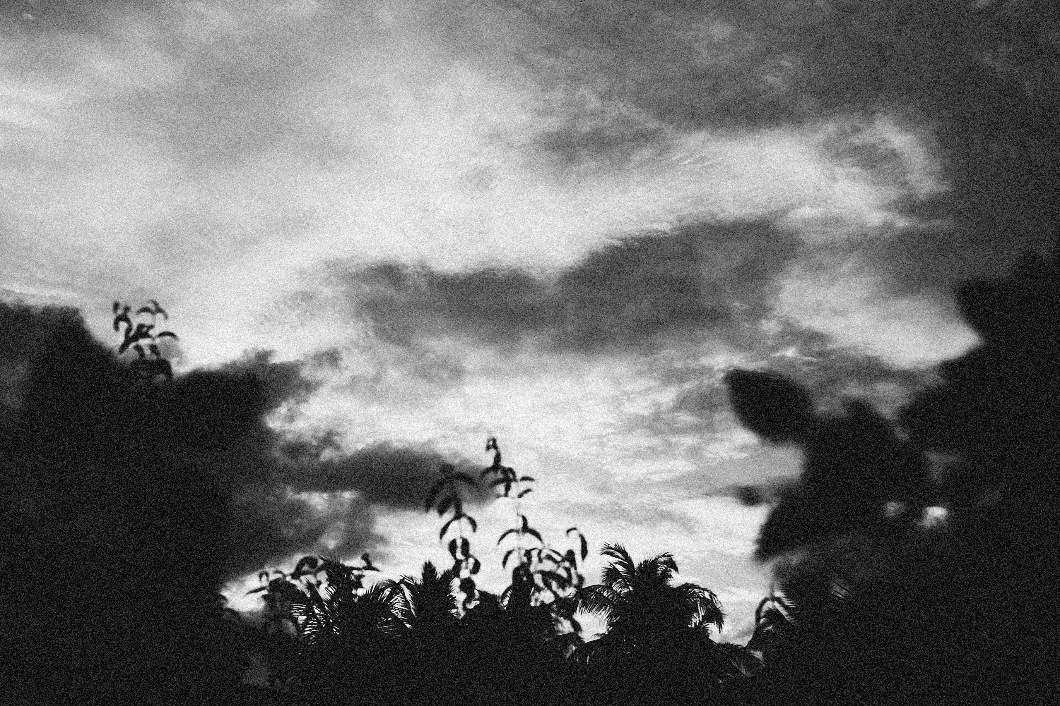 Photo by alexeydemidov