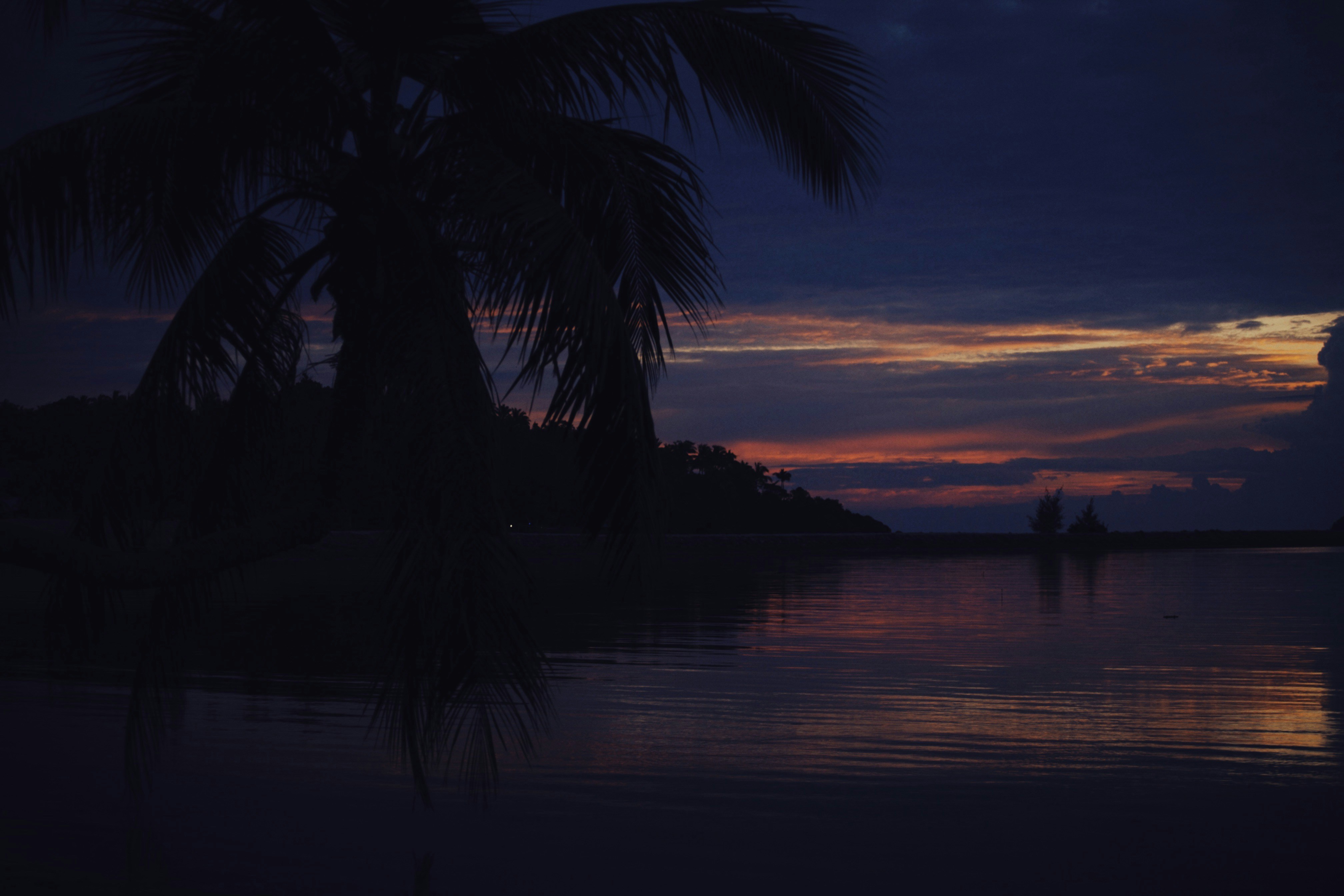 Photo by alexeydemidov