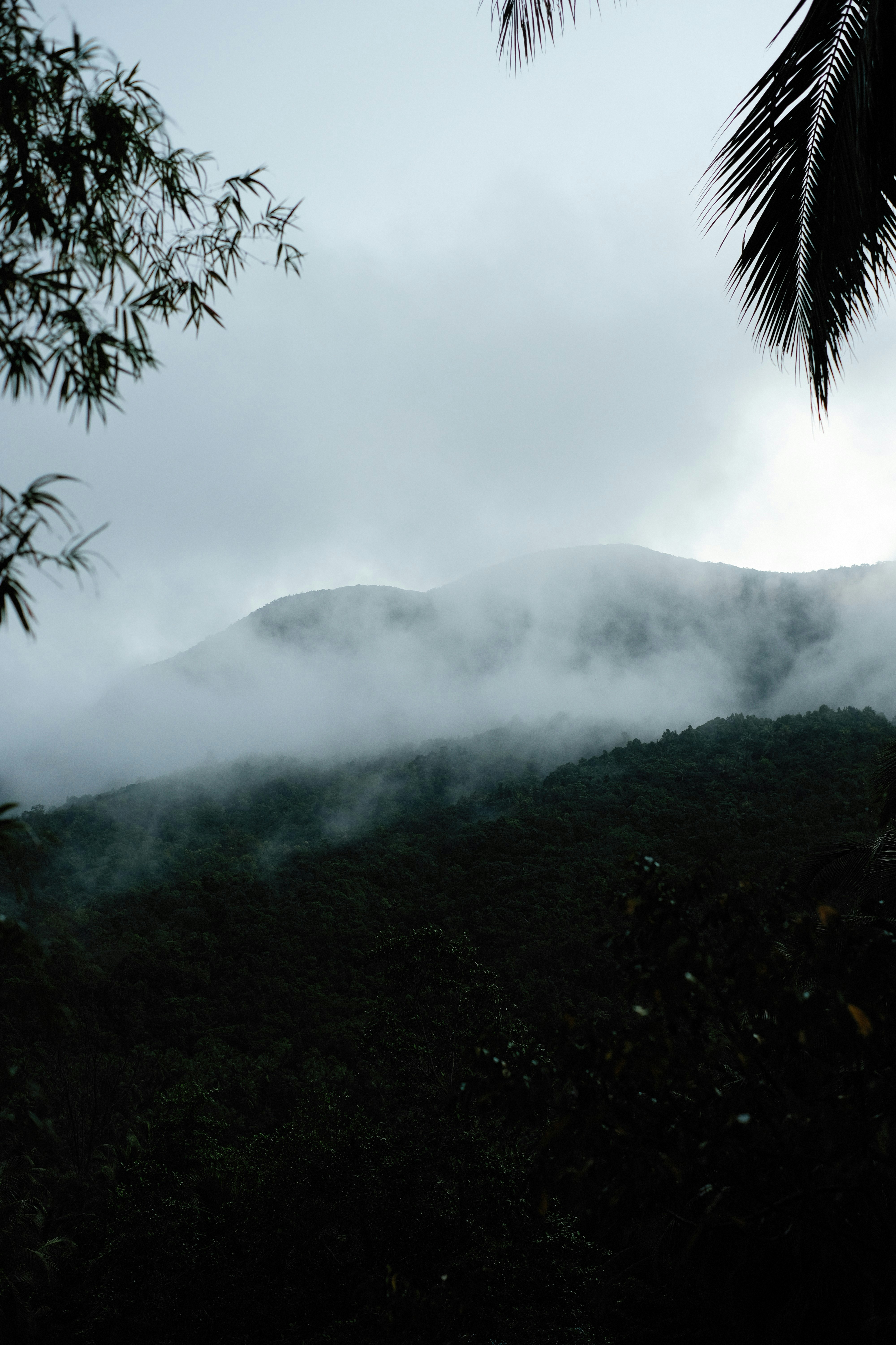 Photo by alexeydemidov