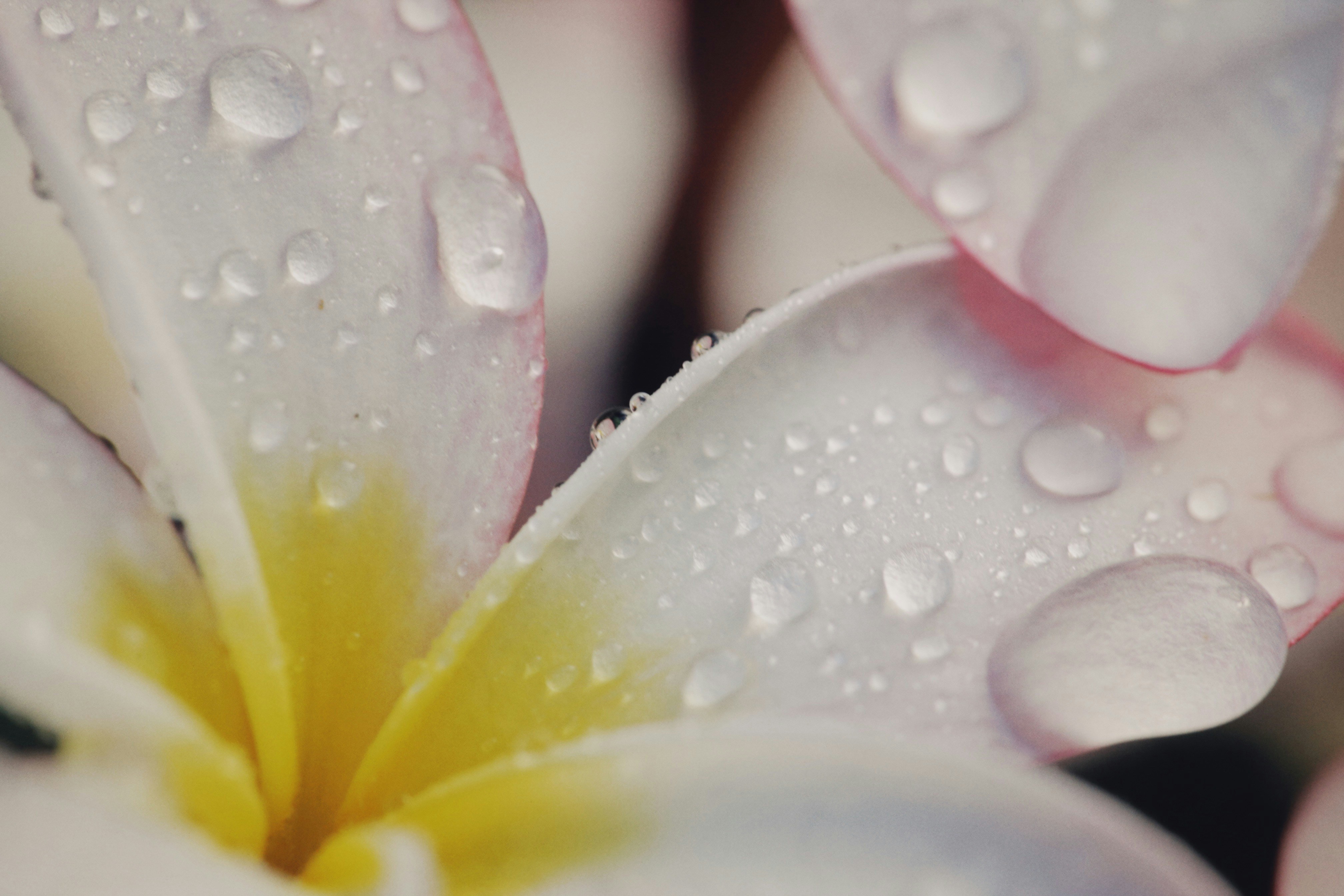 Photo by alexeydemidov