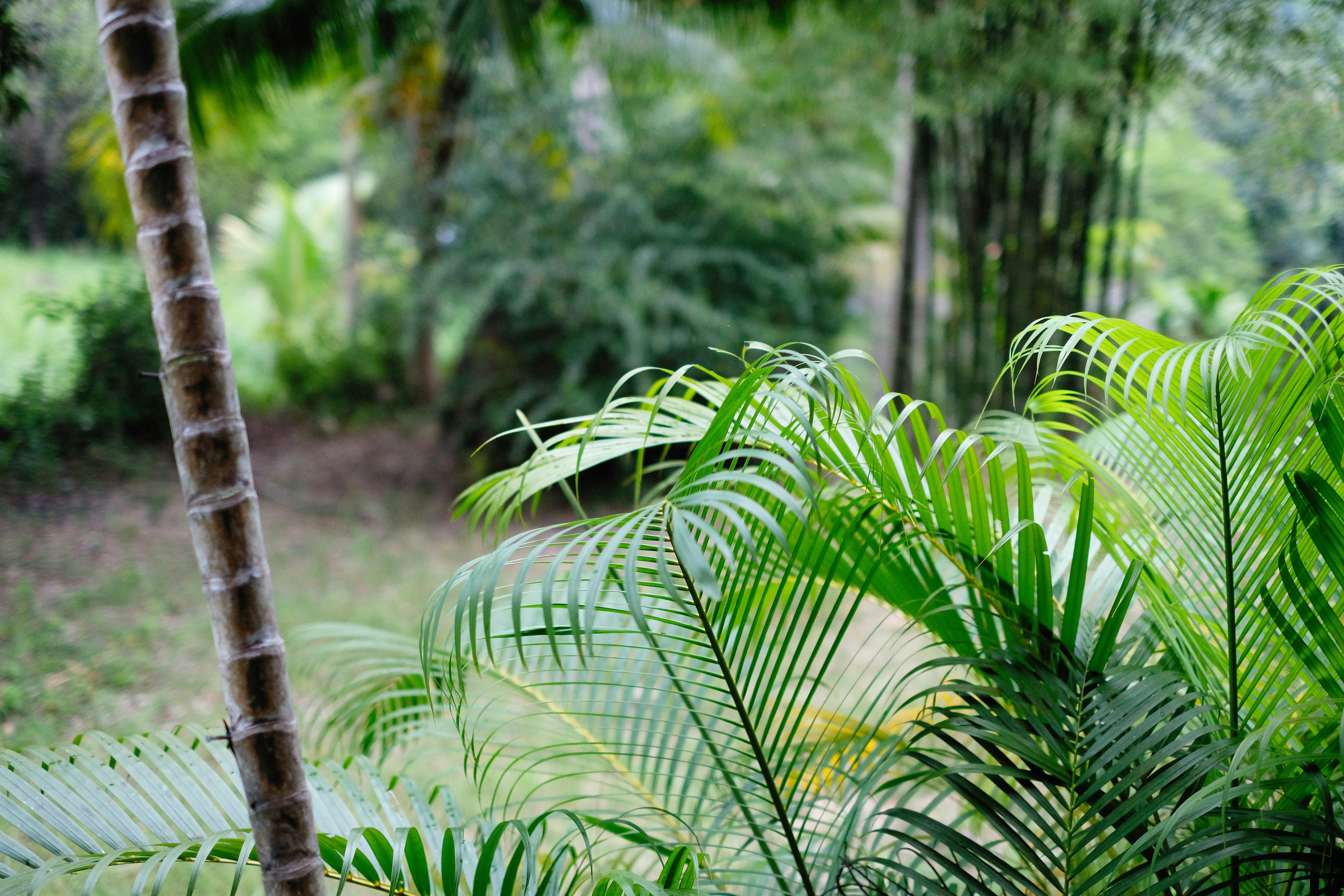 Photo by alexeydemidov