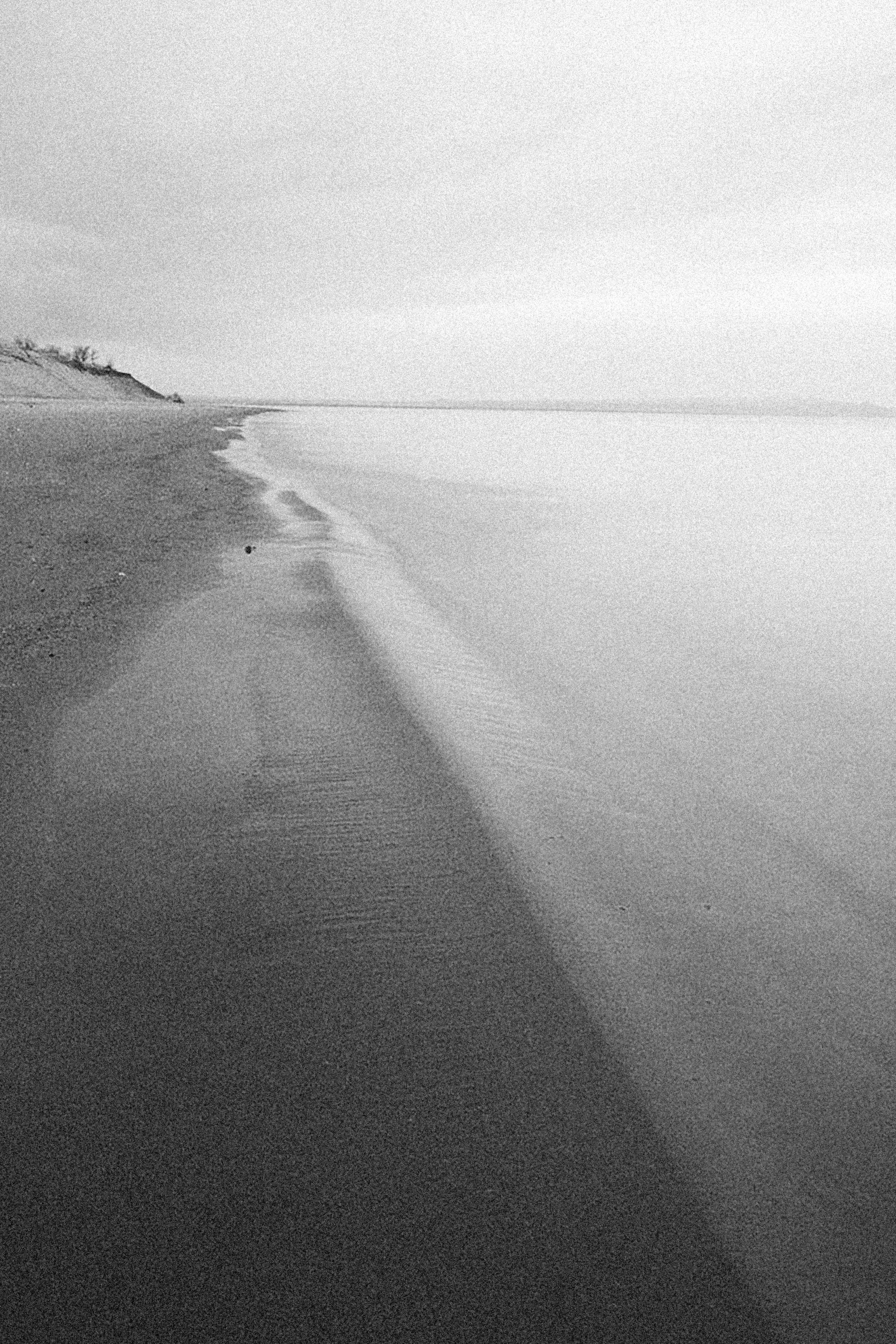 Photo by alexeydemidov