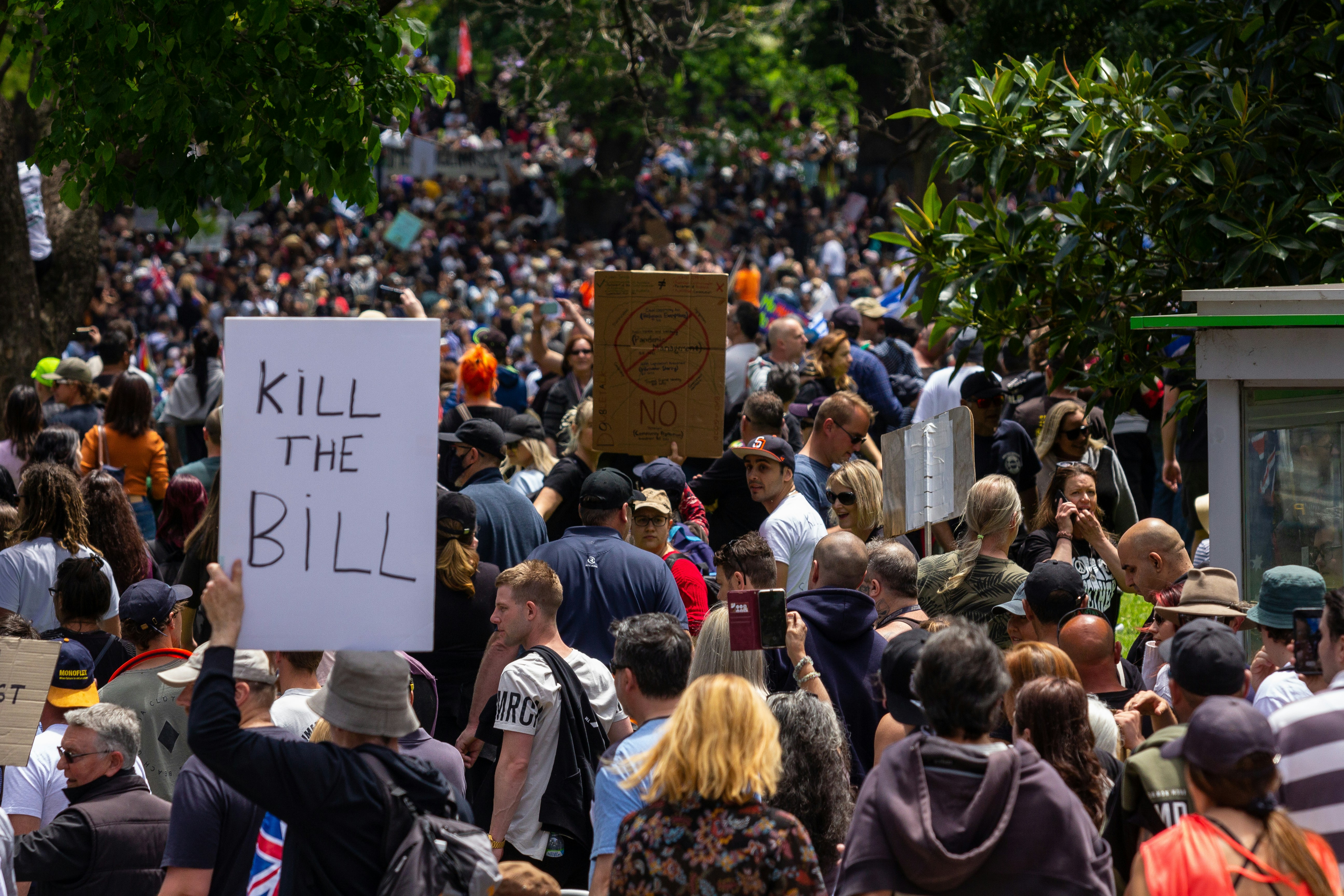 a crowd of people walking down a street holding signs