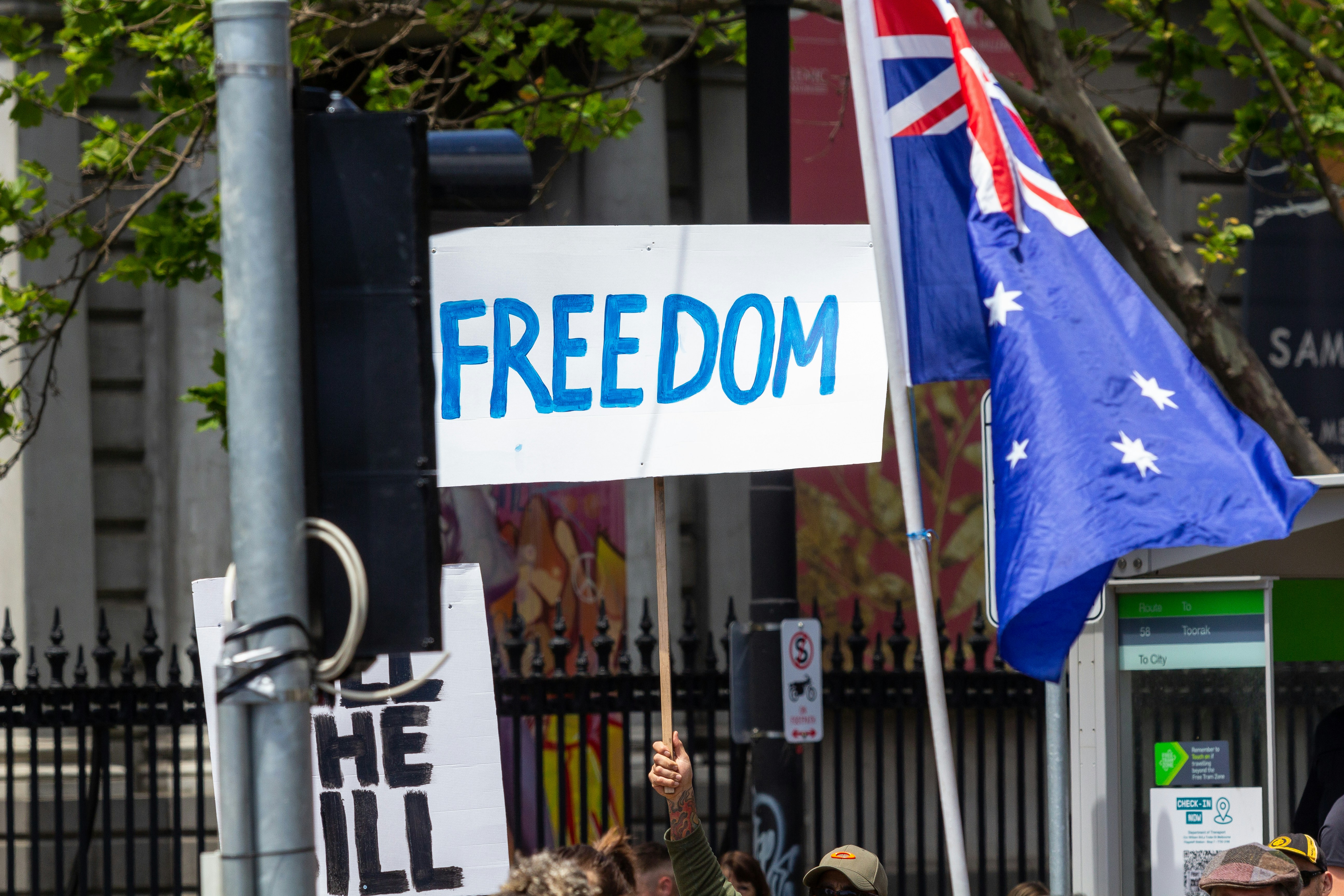 a sign saying freedom at A sign at Melbourne's Freedom protests rally and march in the city November 20th 2021 - over 200,000 people marched from Parliament to the Flagstaff Gardens. A happy family friendly crowd singing and chanting \