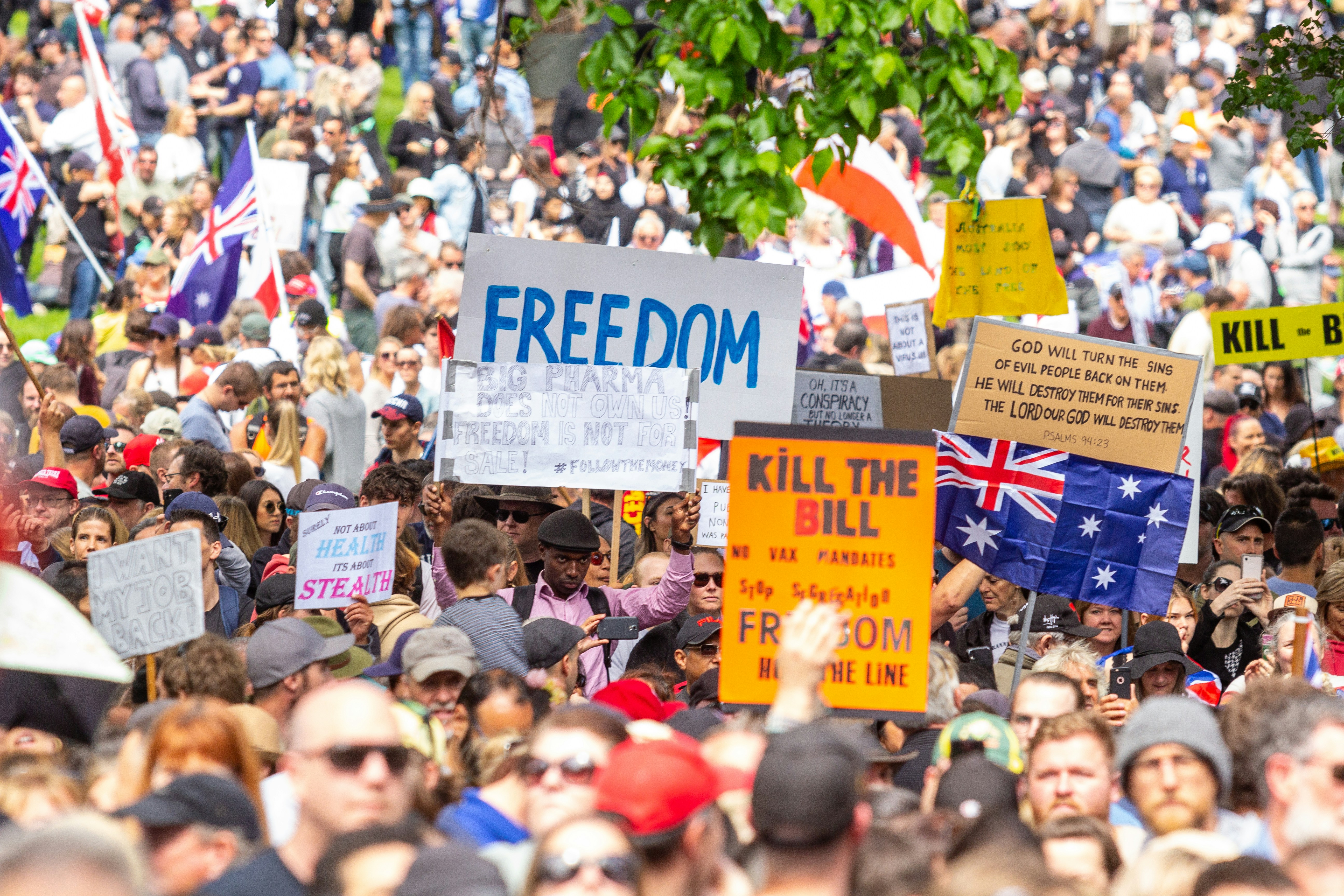 a large crowd of people holding signs and flags