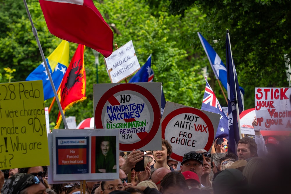 a crowd of people holding signs and flags