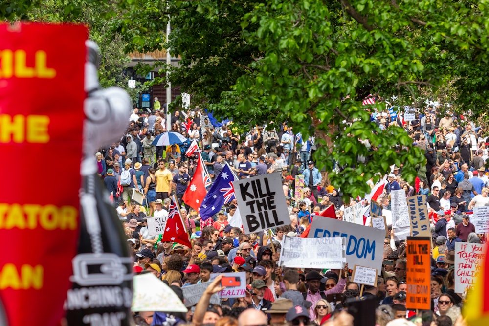 Una gran multitud de personas con carteles y banderas