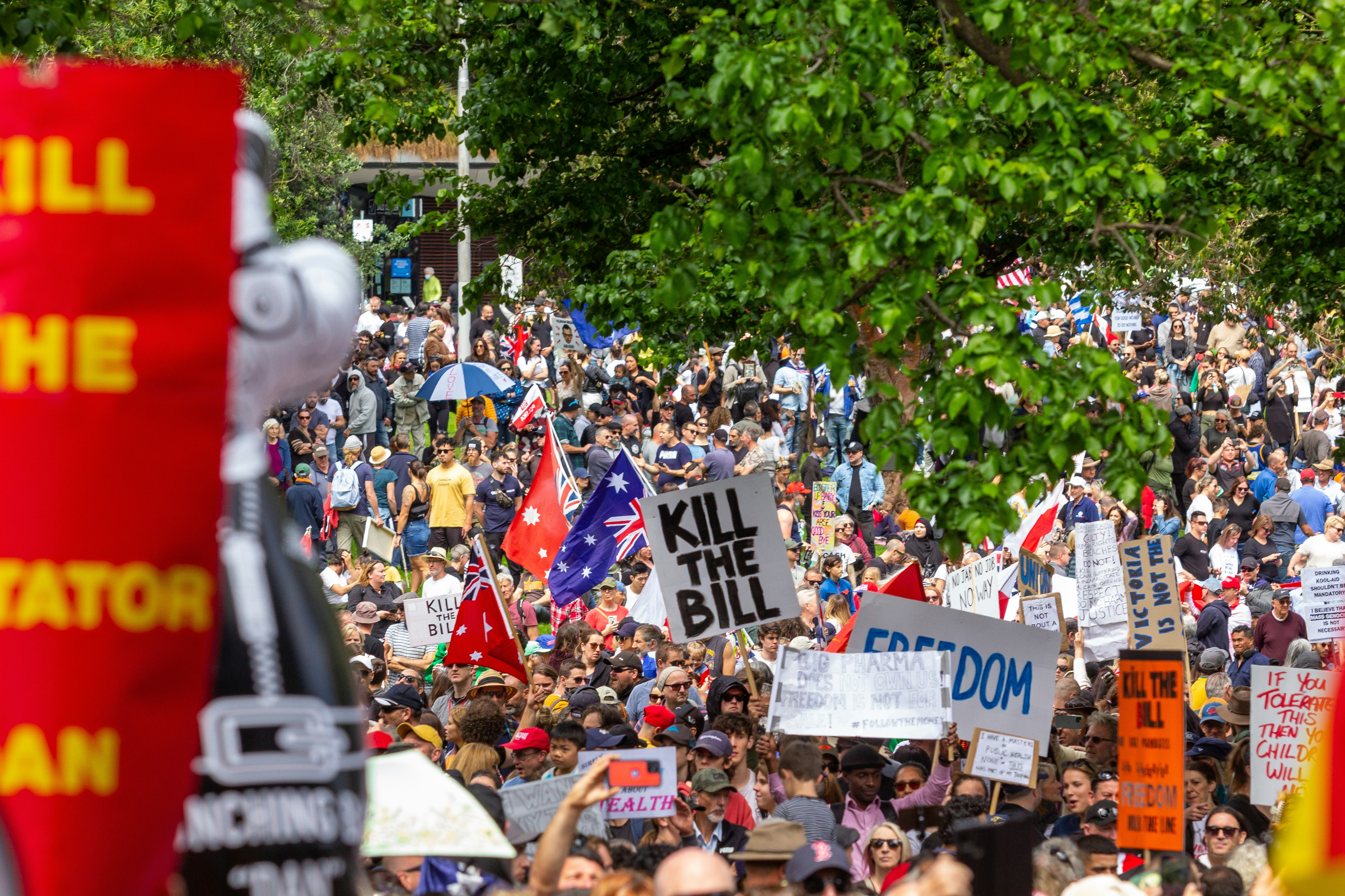 Melbourne's Freedom protests rally and march in the city November 20th 2021 - over 200,000 people marched from Parliament to the Flagstaff Gardens. A happy family friendly crowd singing and chanting 