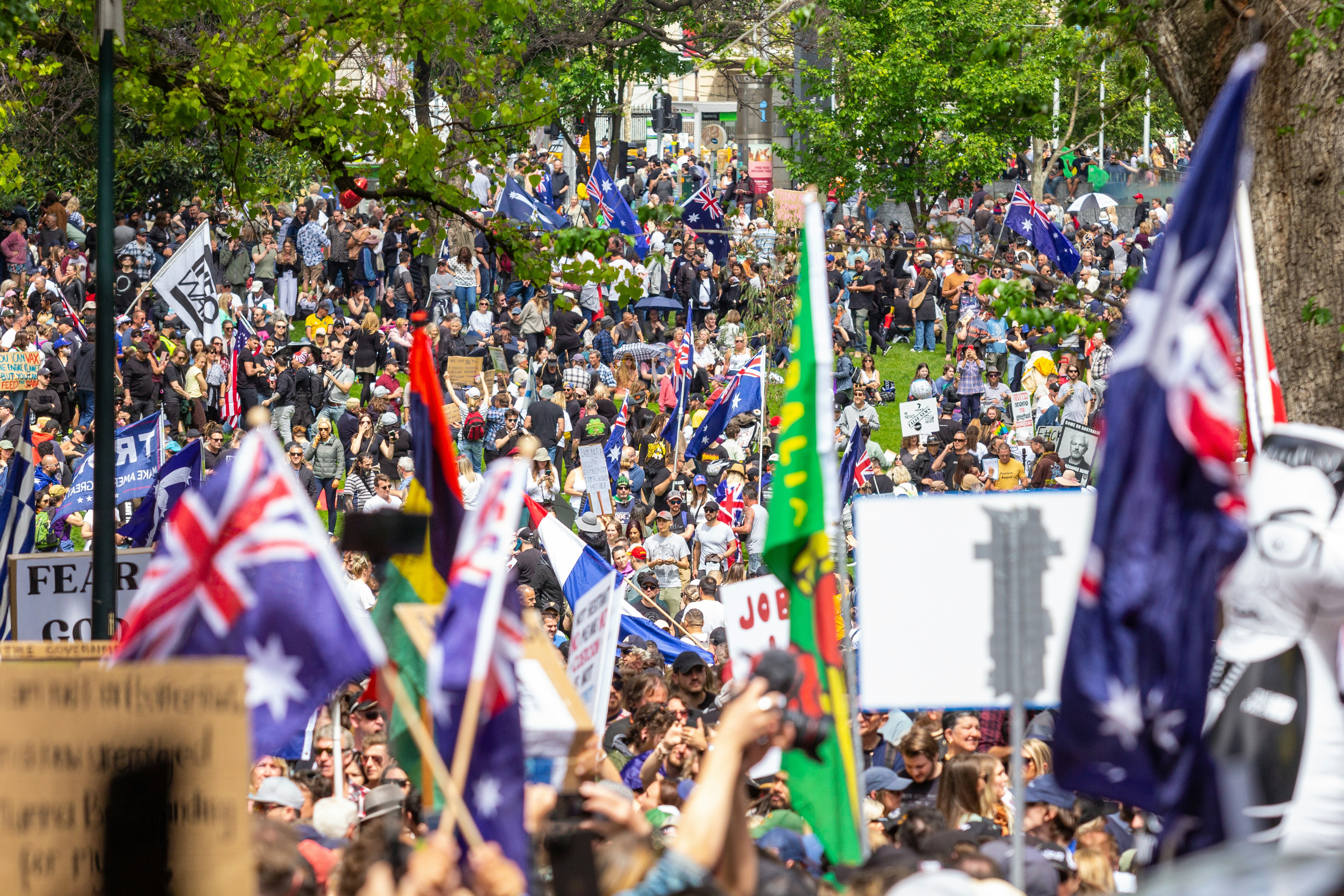 a large crowd of people holding flags and signs