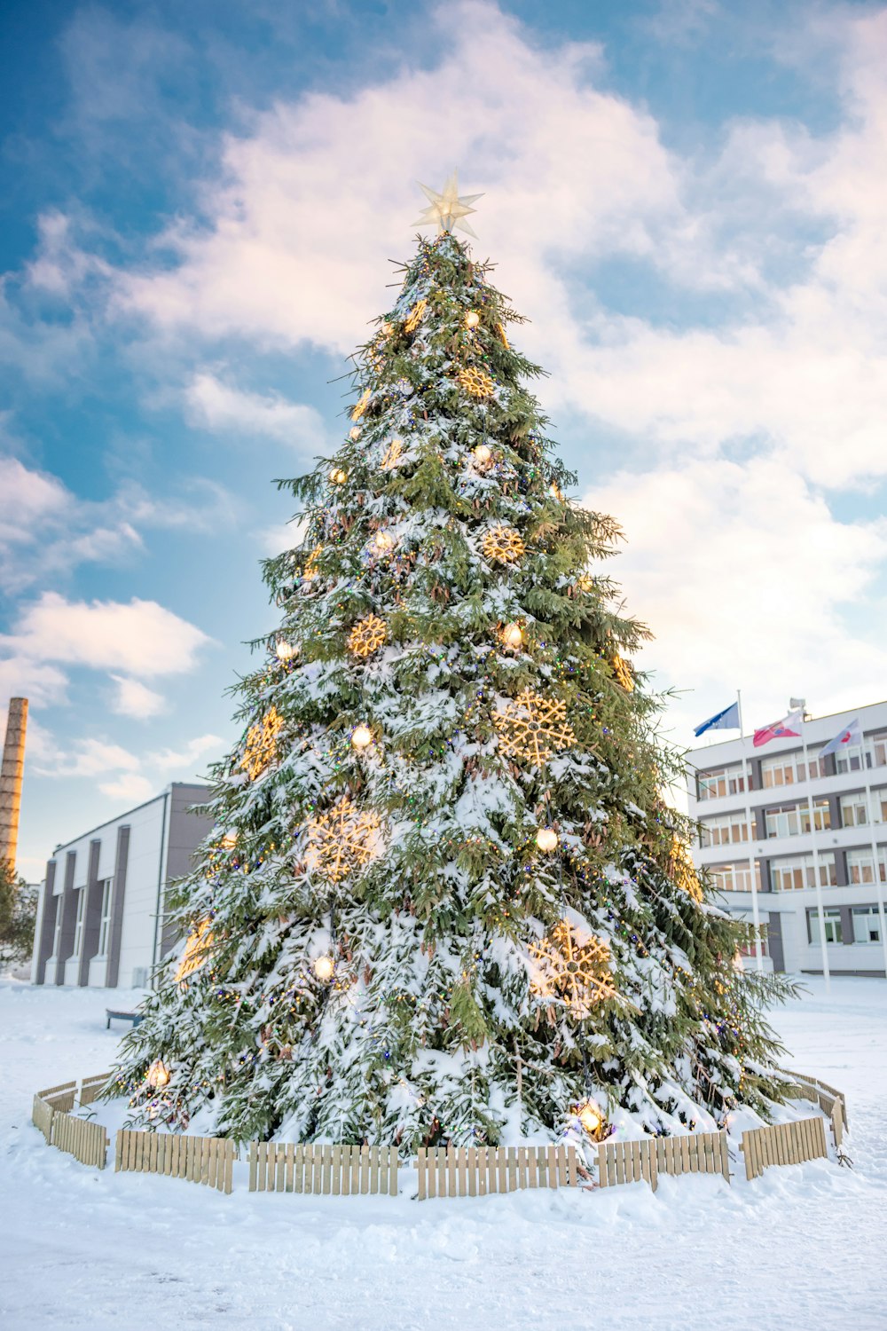 a snow covered christmas tree in front of a building