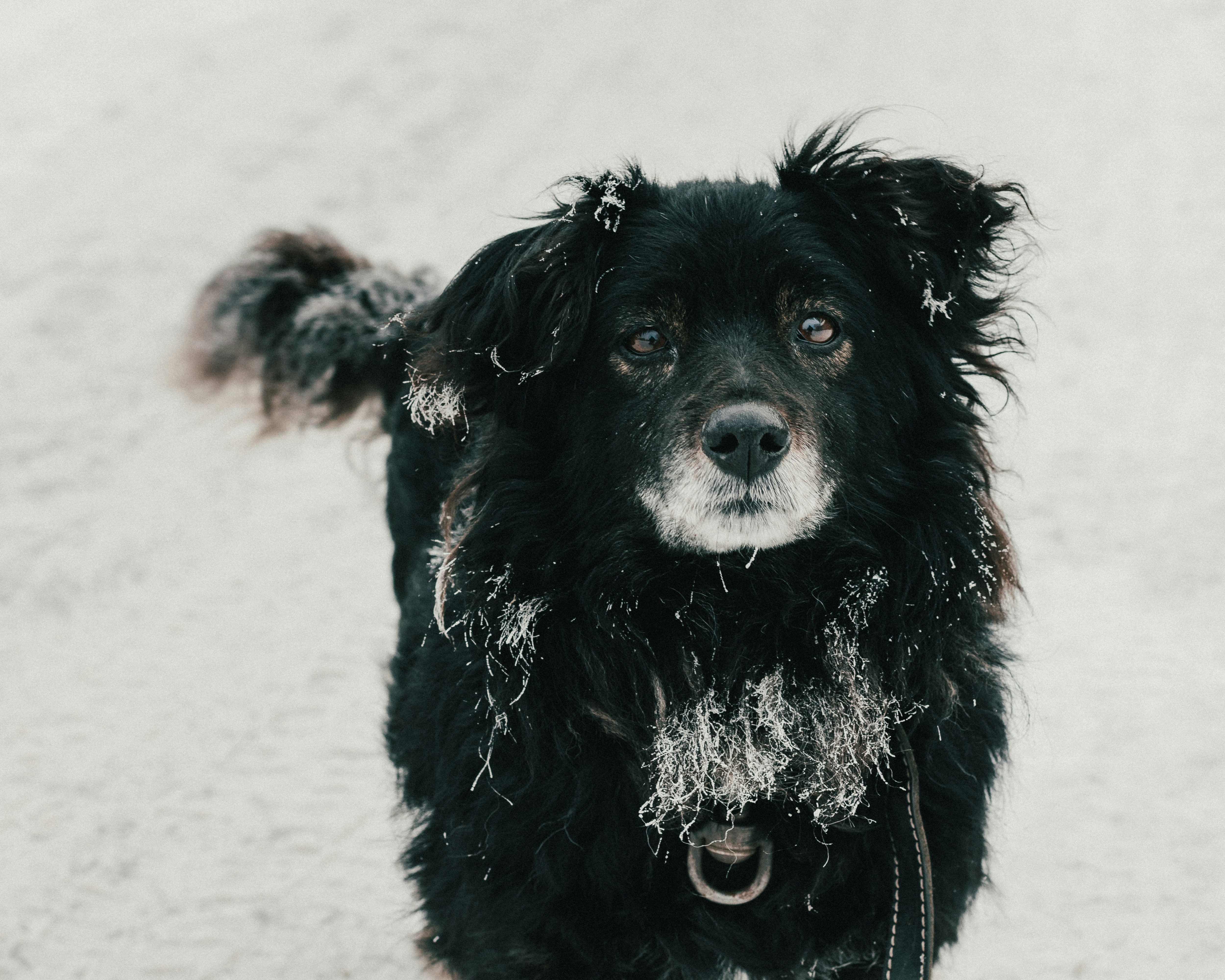 Photo by rubtsovskcat