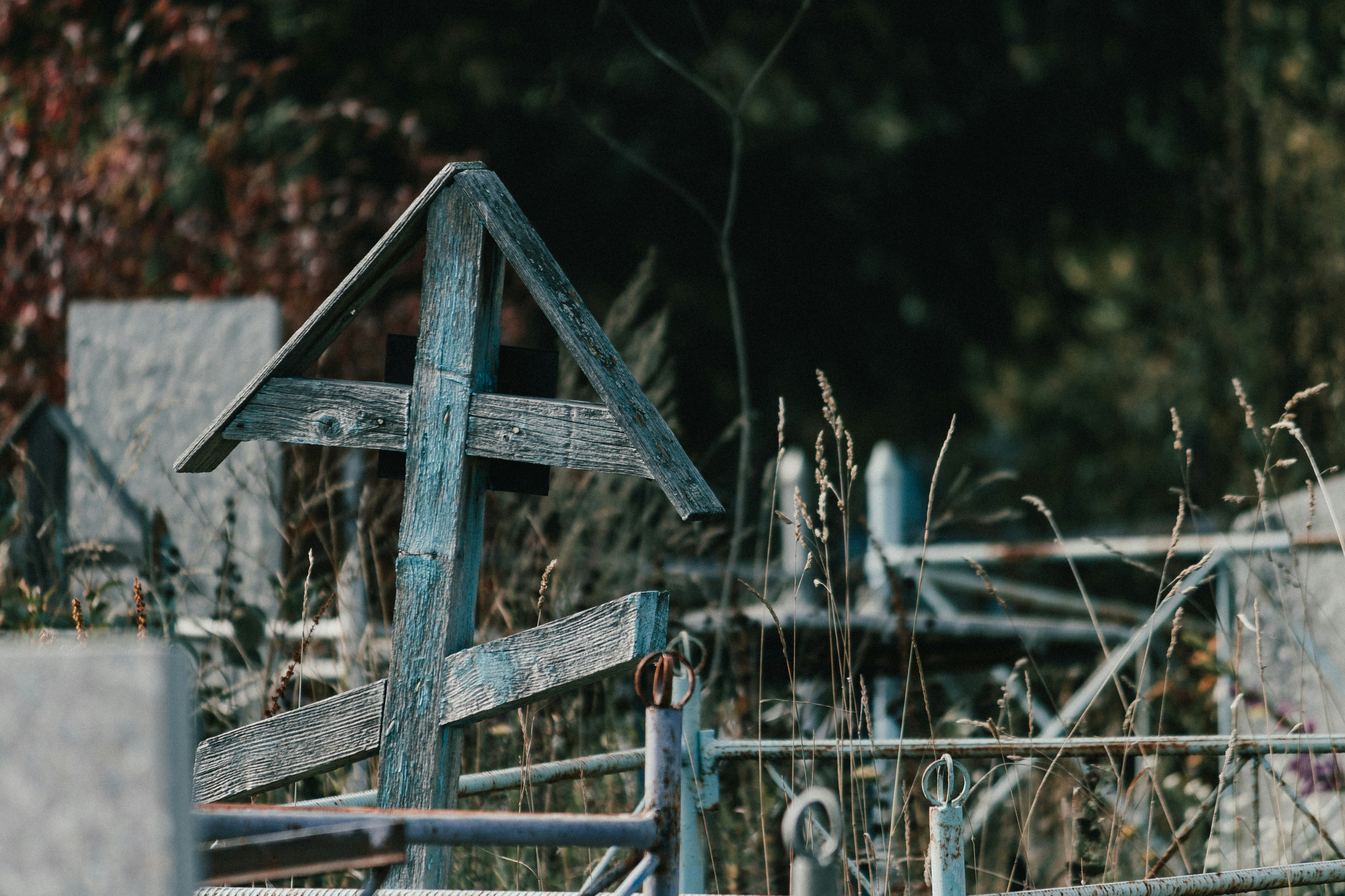 Photo by rubtsovskcat