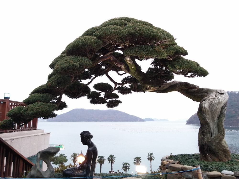 a statue of a man sitting under a tree next to a body of water