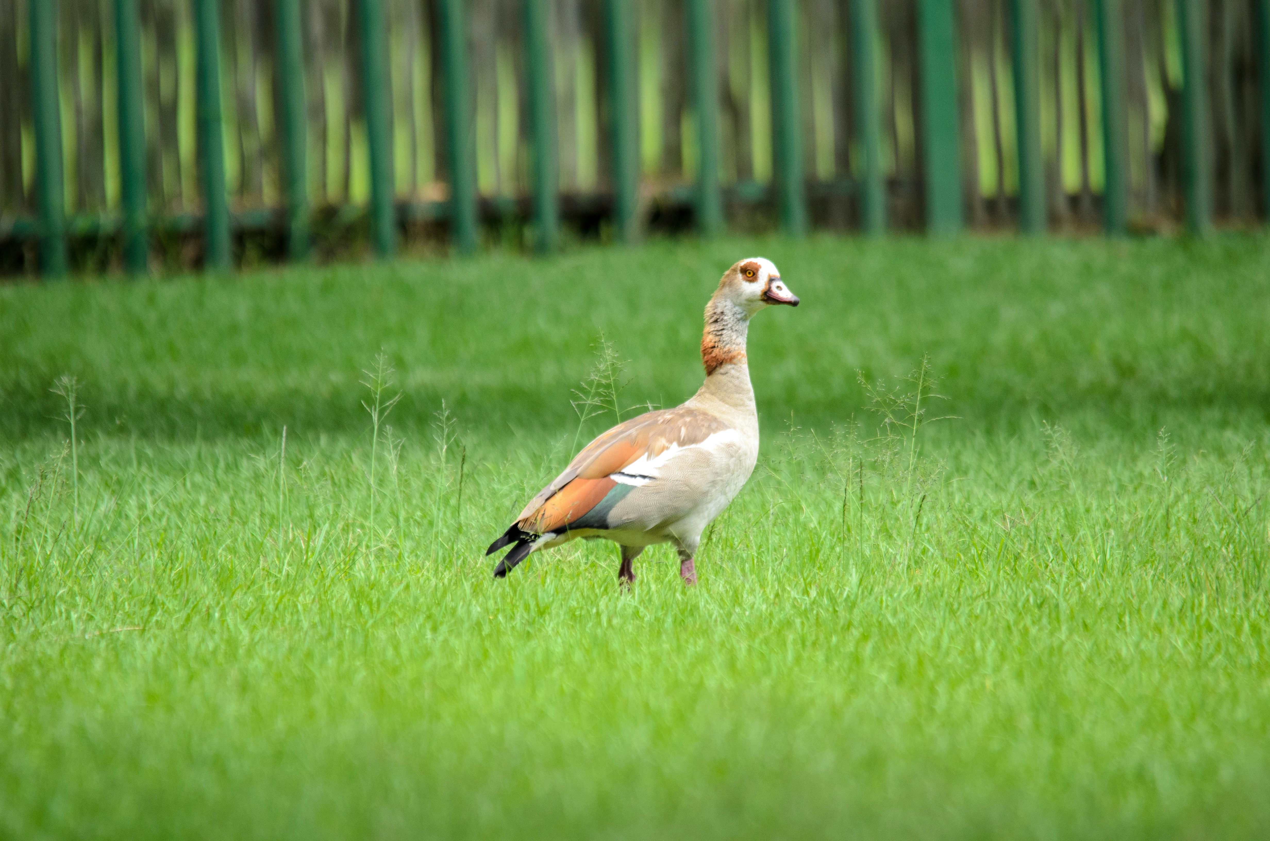 Photo by stewardesign