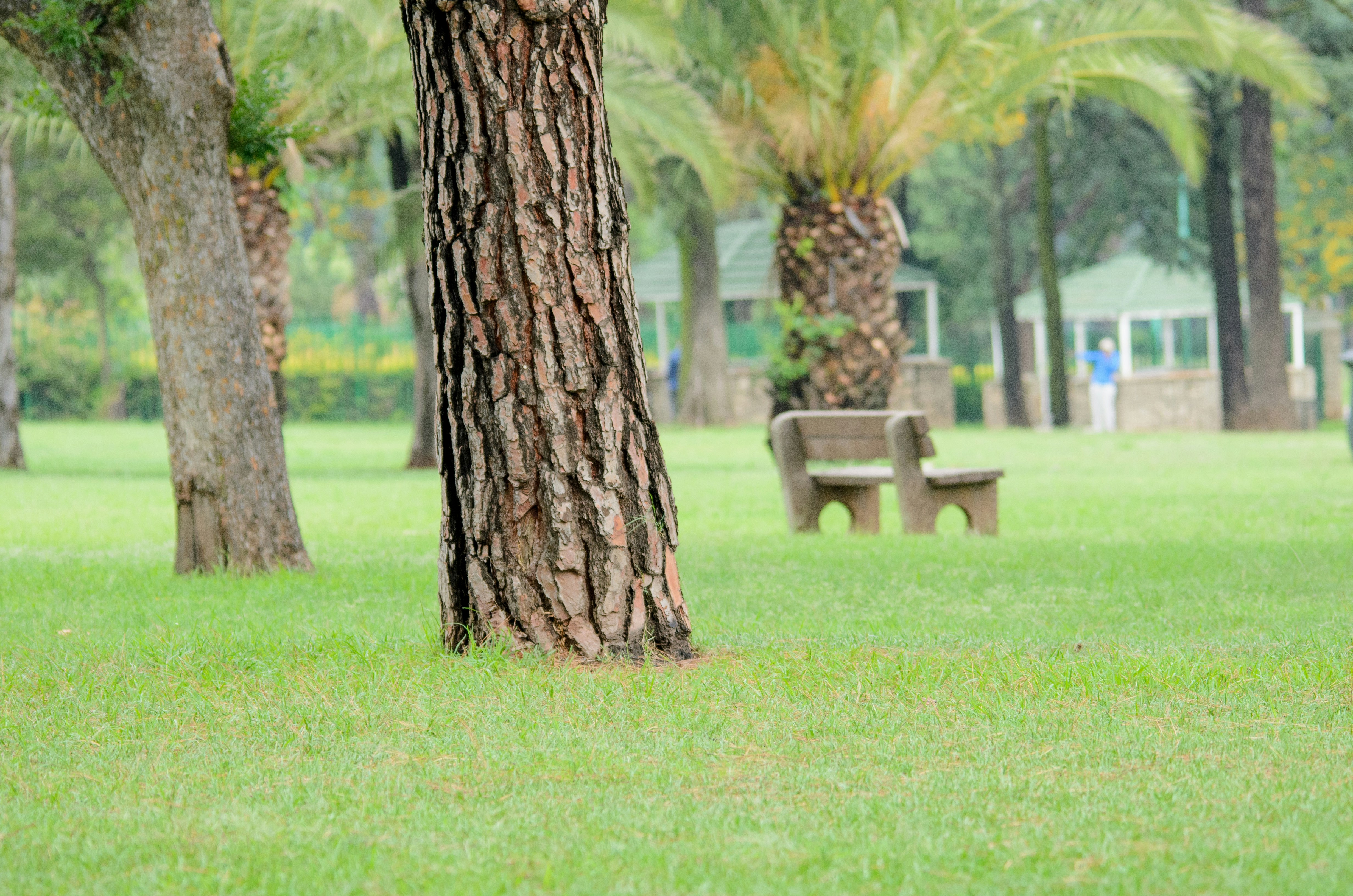 Photo by stewardesign