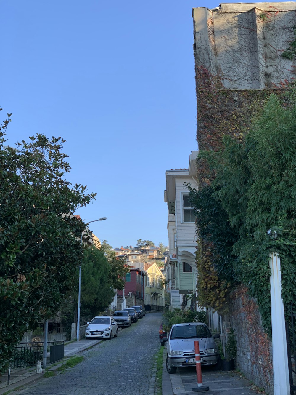 a street with cars parked on both sides of it