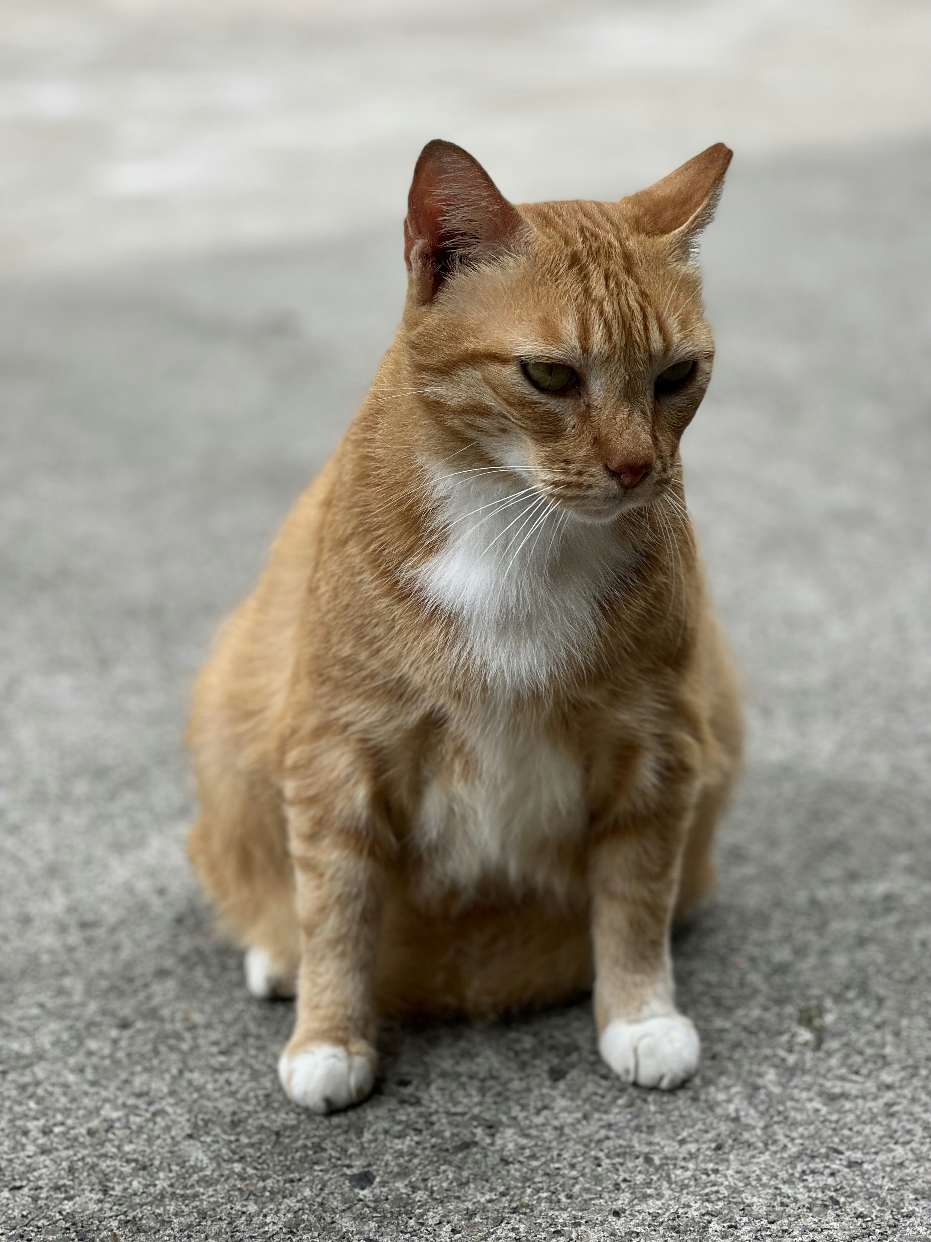 Photo by iridescentstars